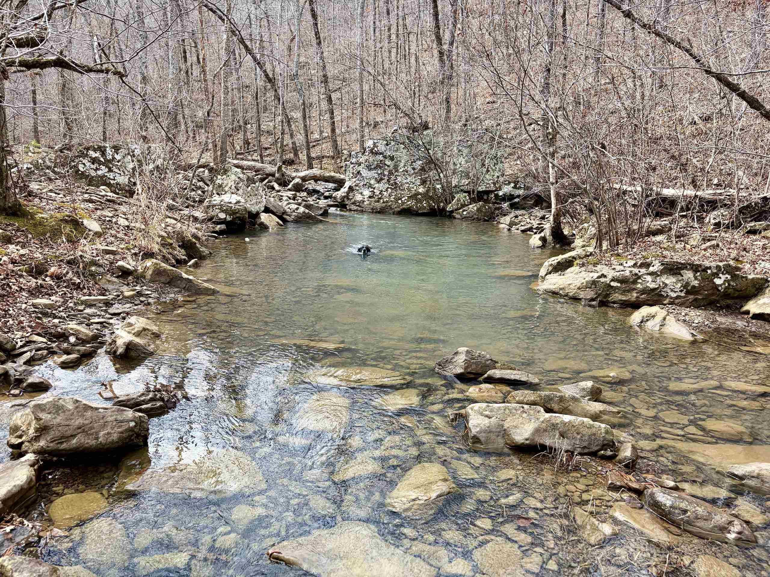 000 Watson Rd  Clinton, AR