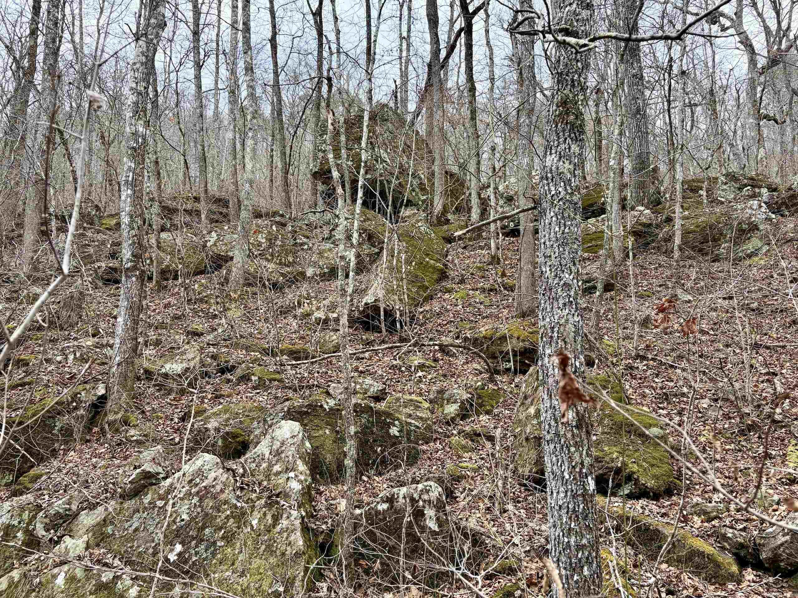 000 Watson Rd  Clinton, AR