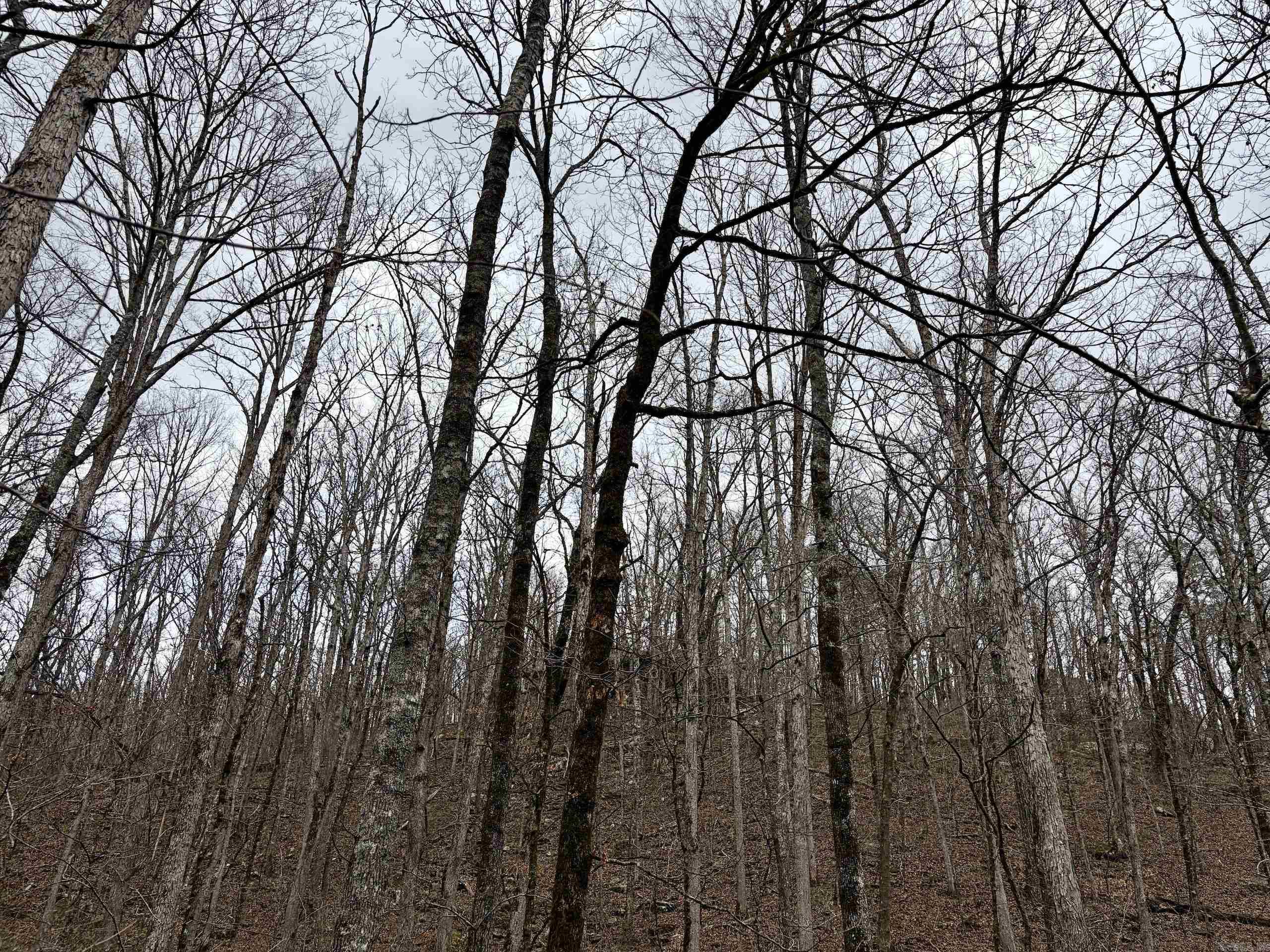 000 Watson Rd  Clinton, AR