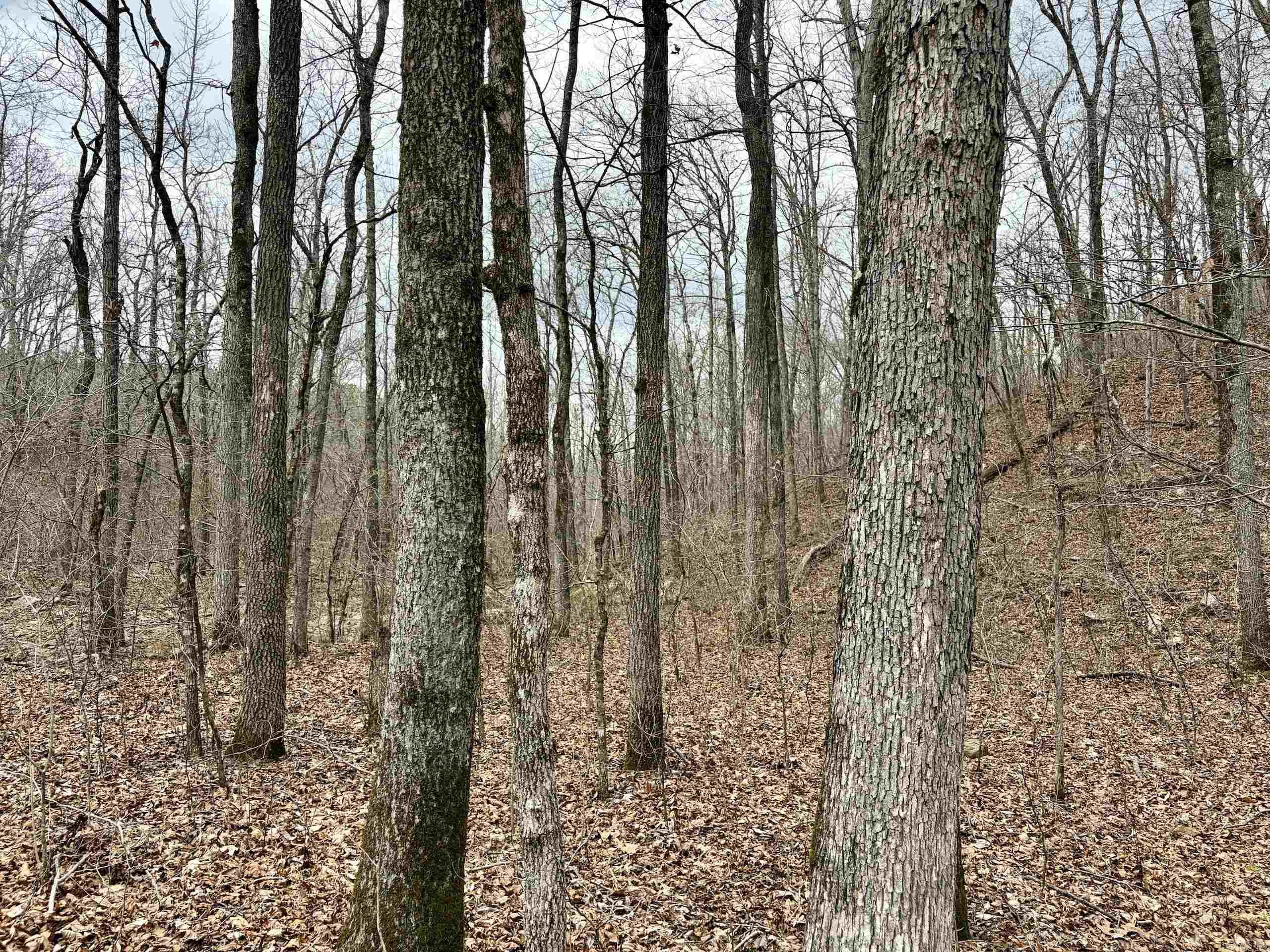 000 Watson Rd  Clinton, AR