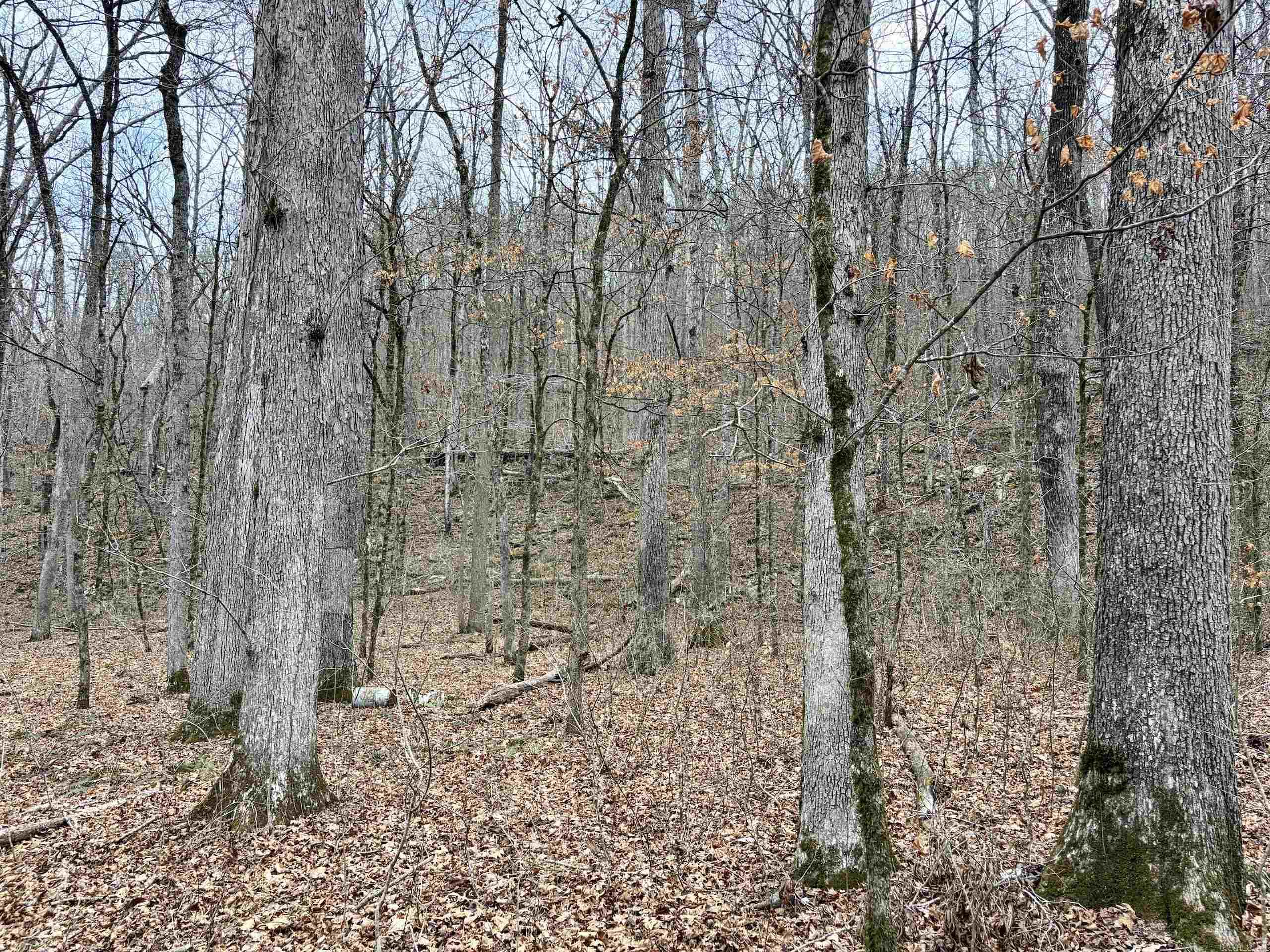 000 Watson Rd  Clinton, AR