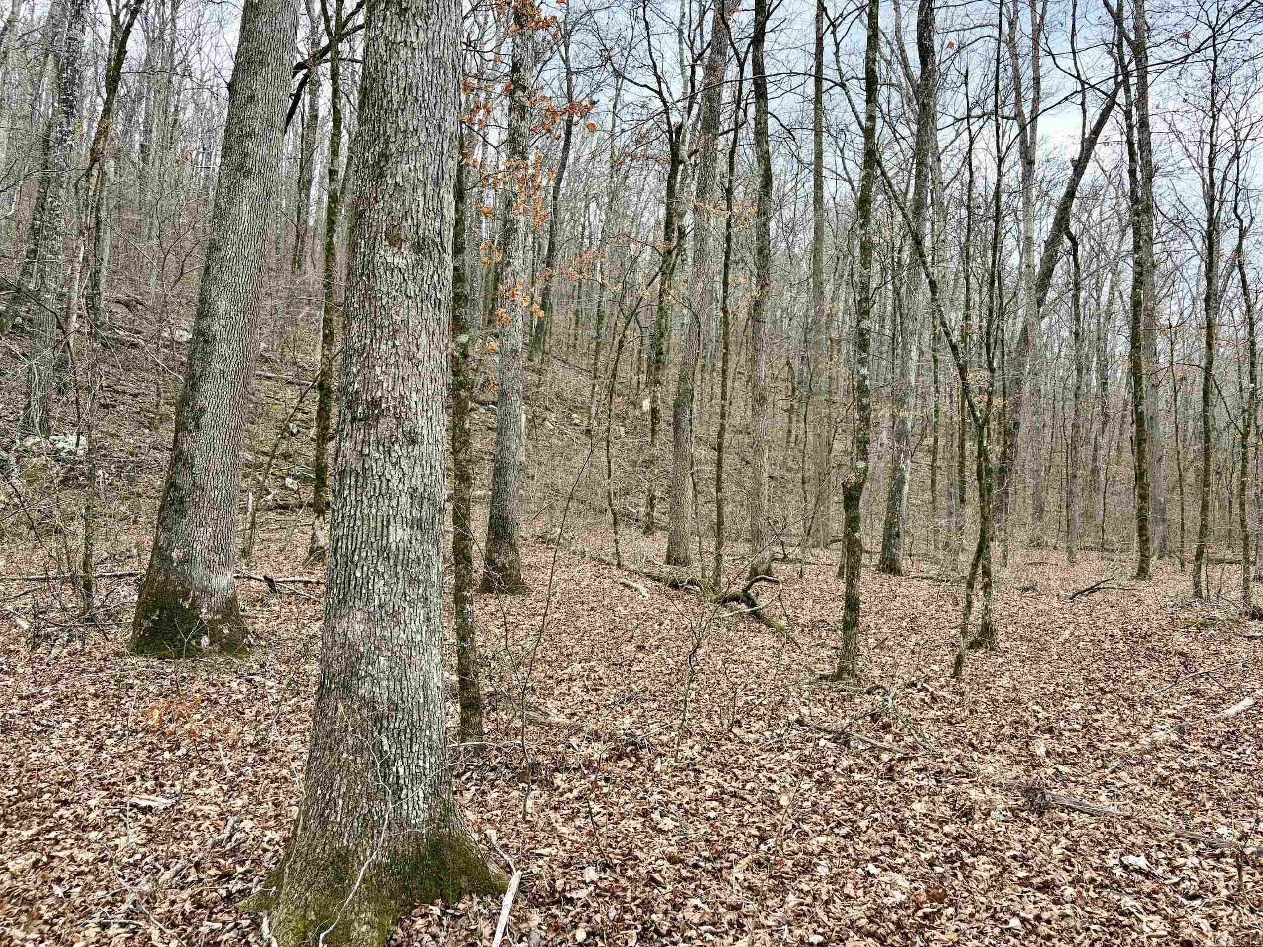 000 Watson Rd  Clinton, AR