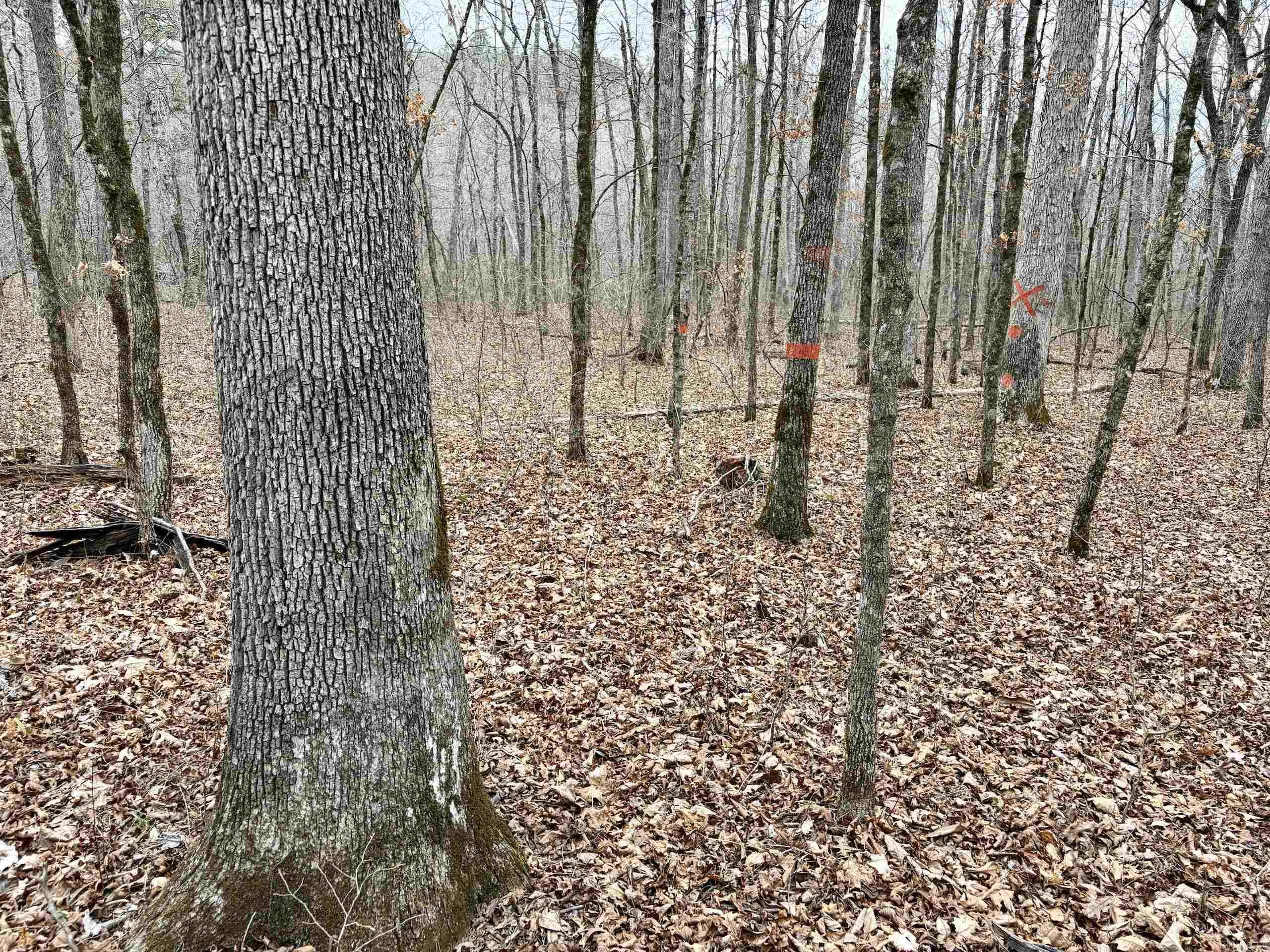 000 Watson Rd  Clinton, AR