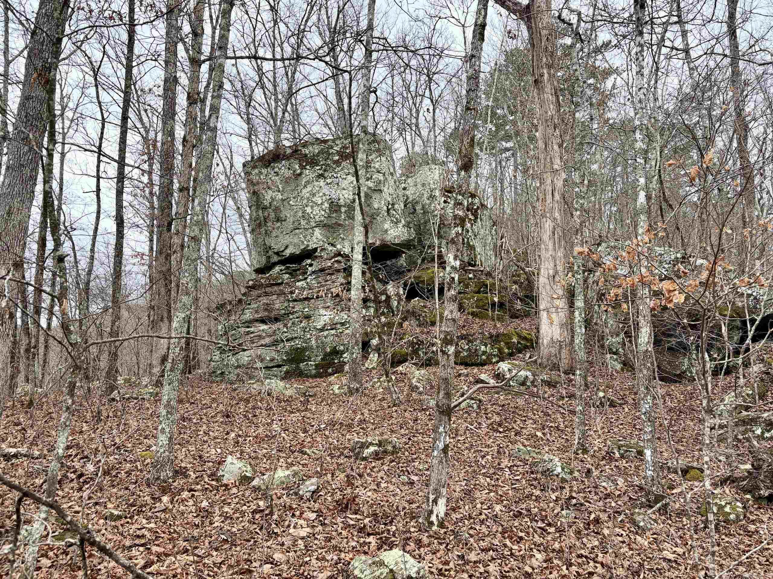 000 Watson Rd  Clinton, AR