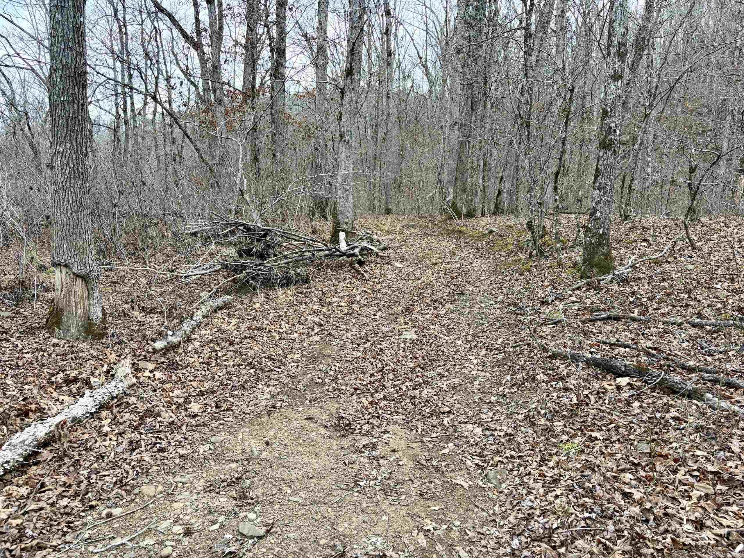 000 Watson Rd  Clinton, AR