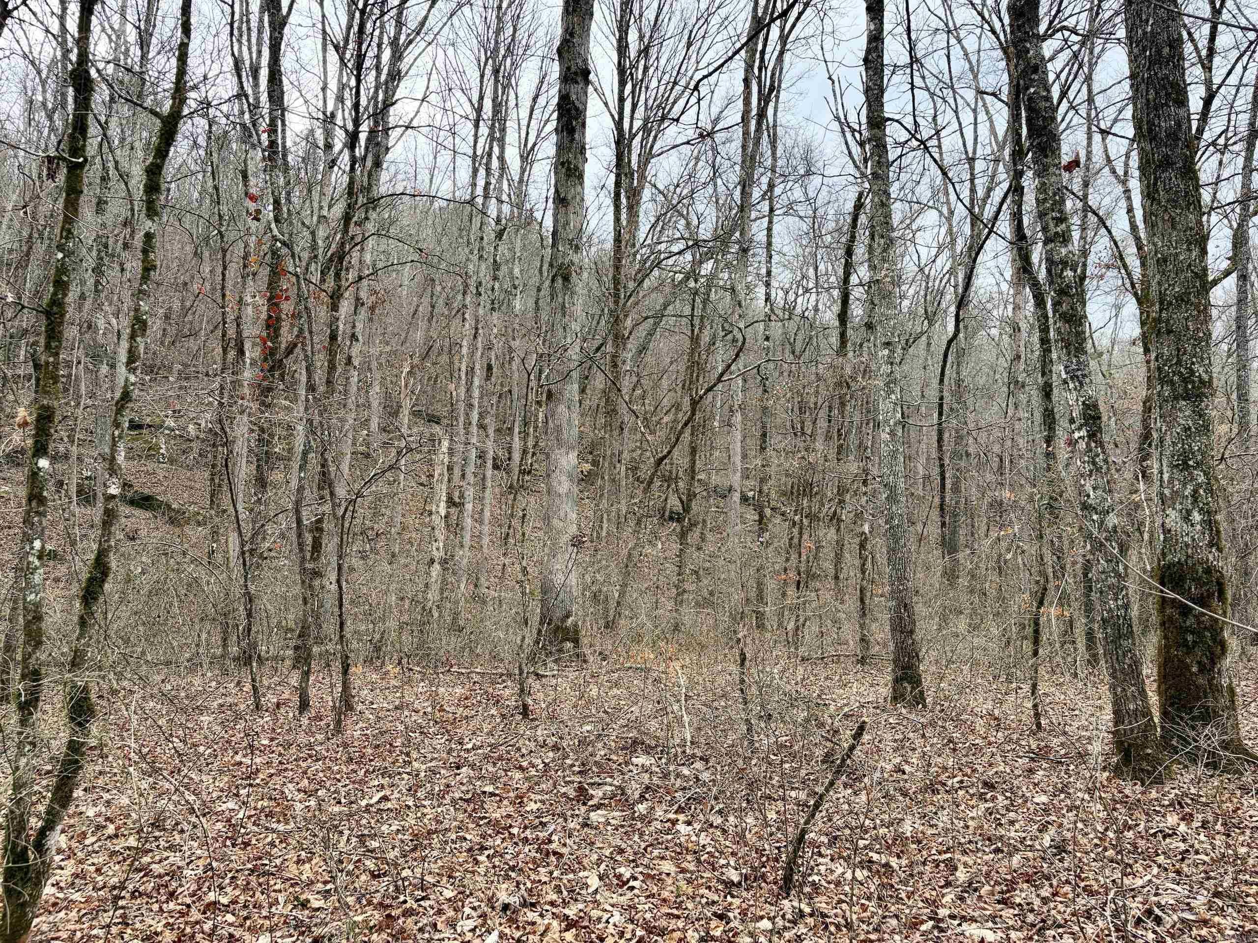 000 Watson Rd  Clinton, AR