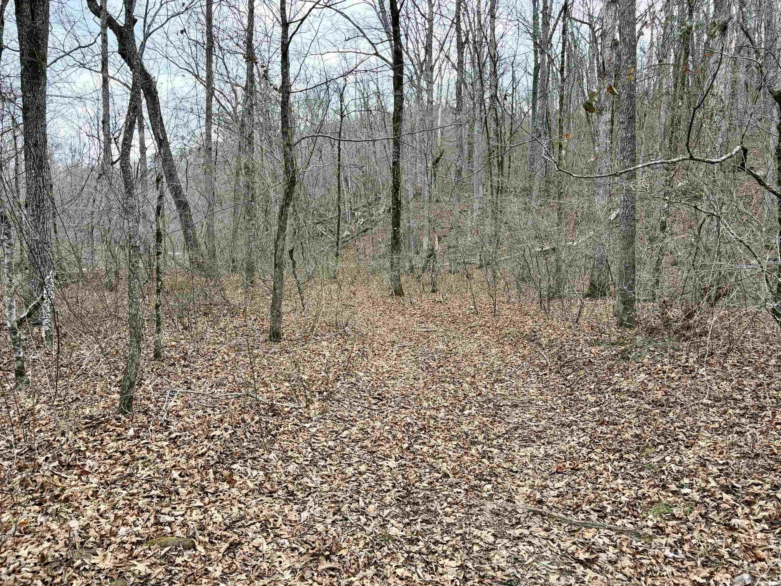 000 Watson Rd  Clinton, AR