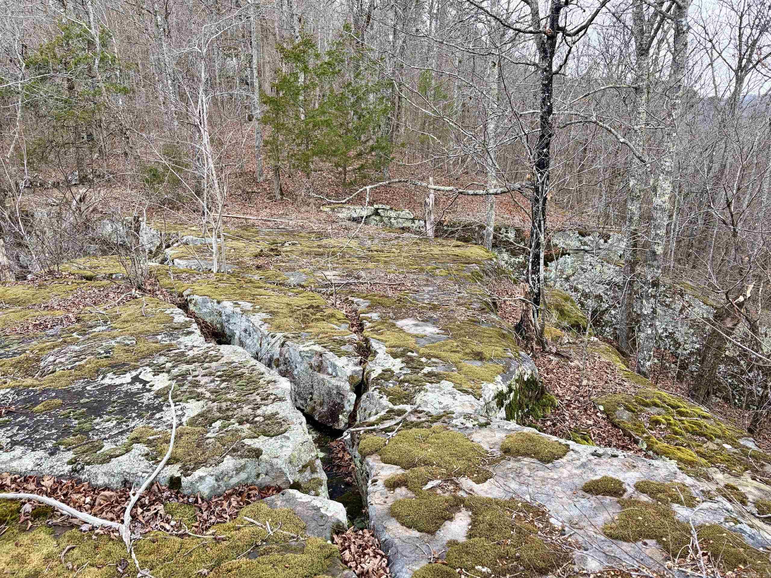 000 Watson Rd  Clinton, AR