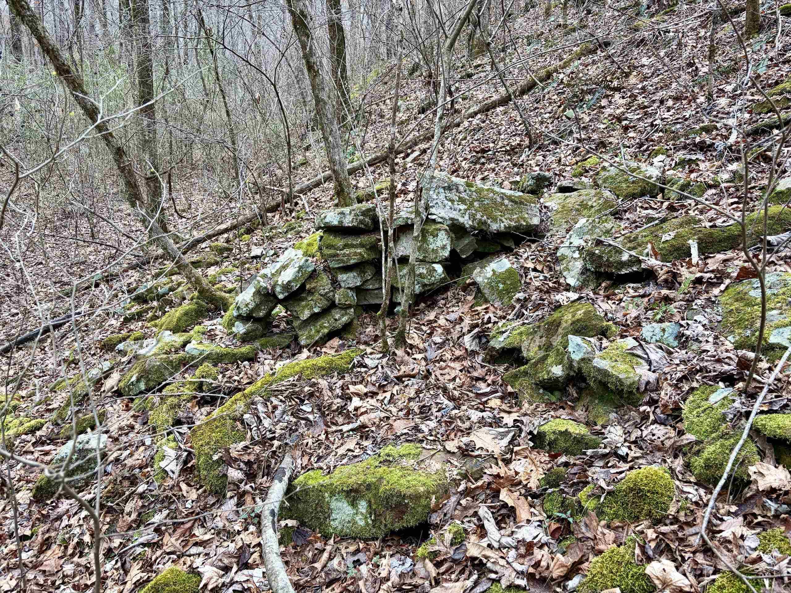 000 Watson Rd  Clinton, AR