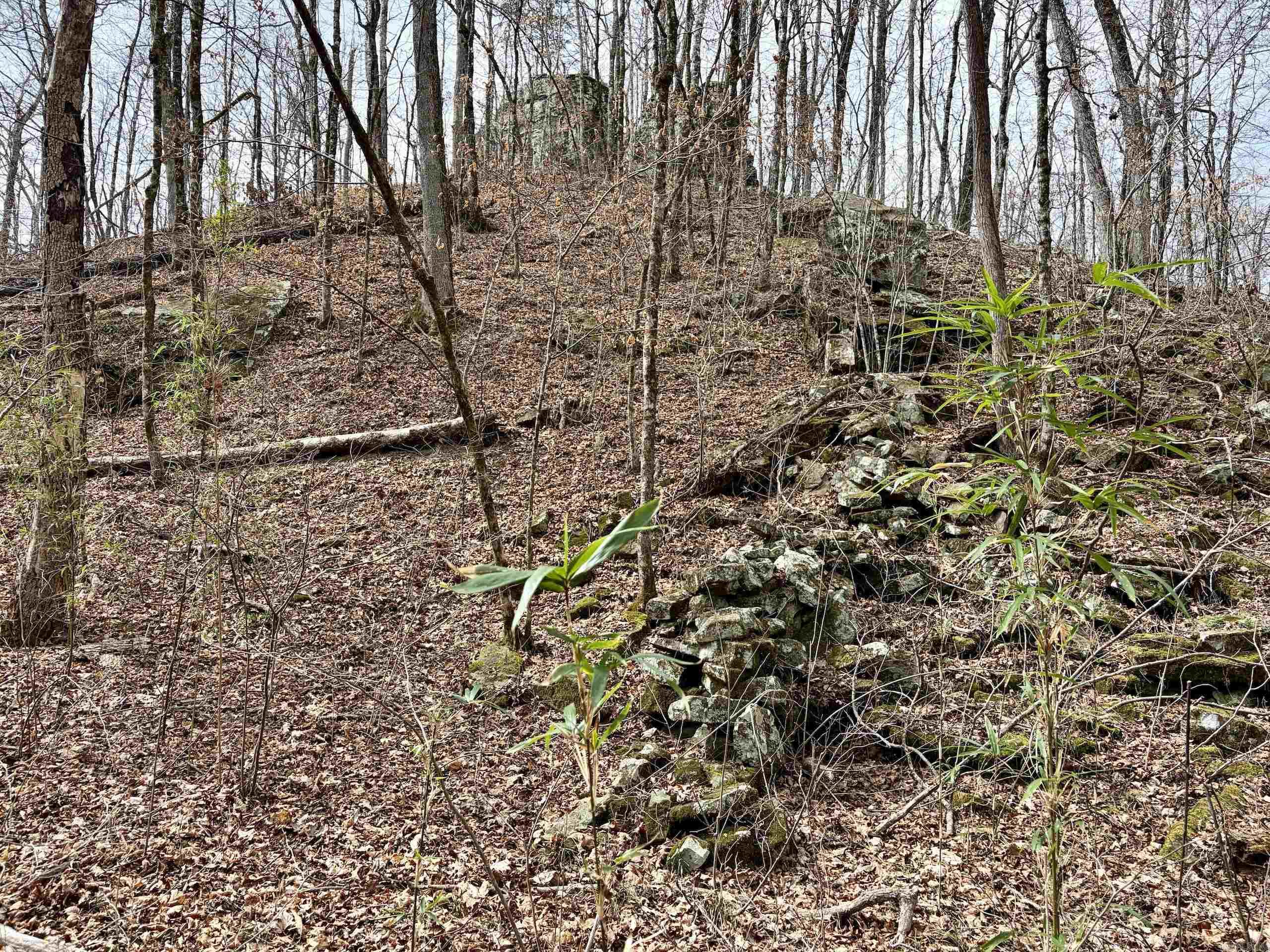 000 Watson Rd  Clinton, AR