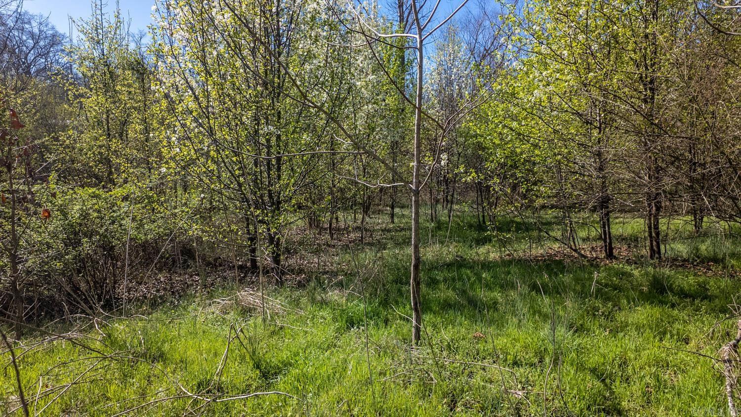 000 Main Street  Mammoth Spring, AR