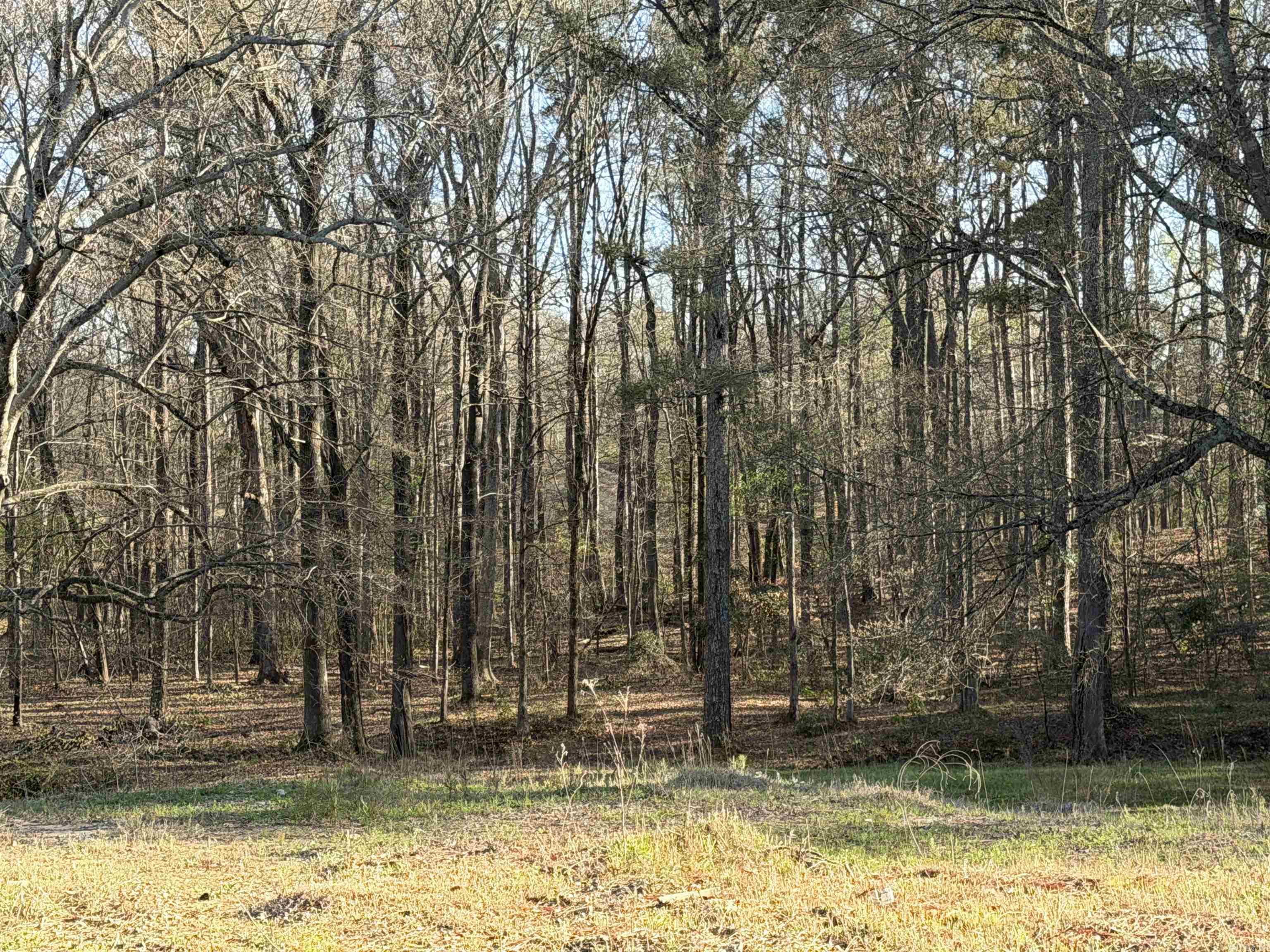 604 Ross Lane  White Hall, AR