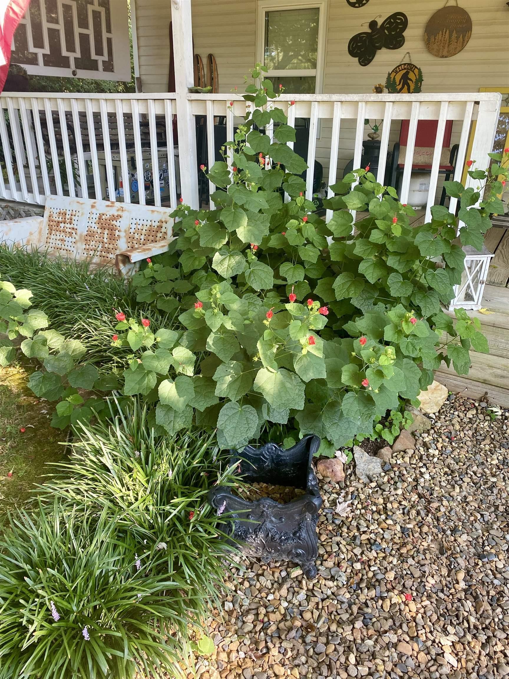 16601 West Road  Roland, AR