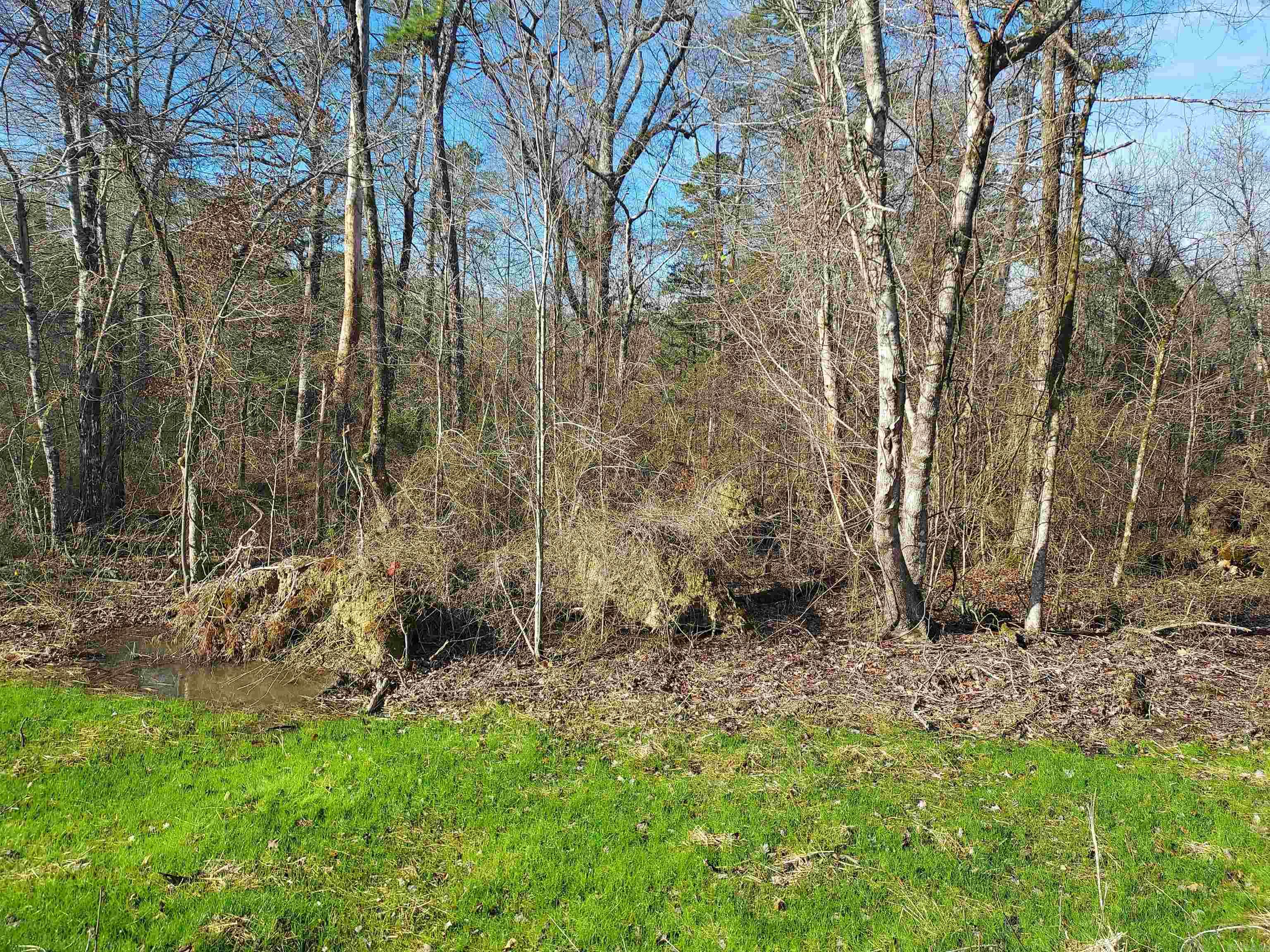 14 Levantino  Hot Springs Village, AR