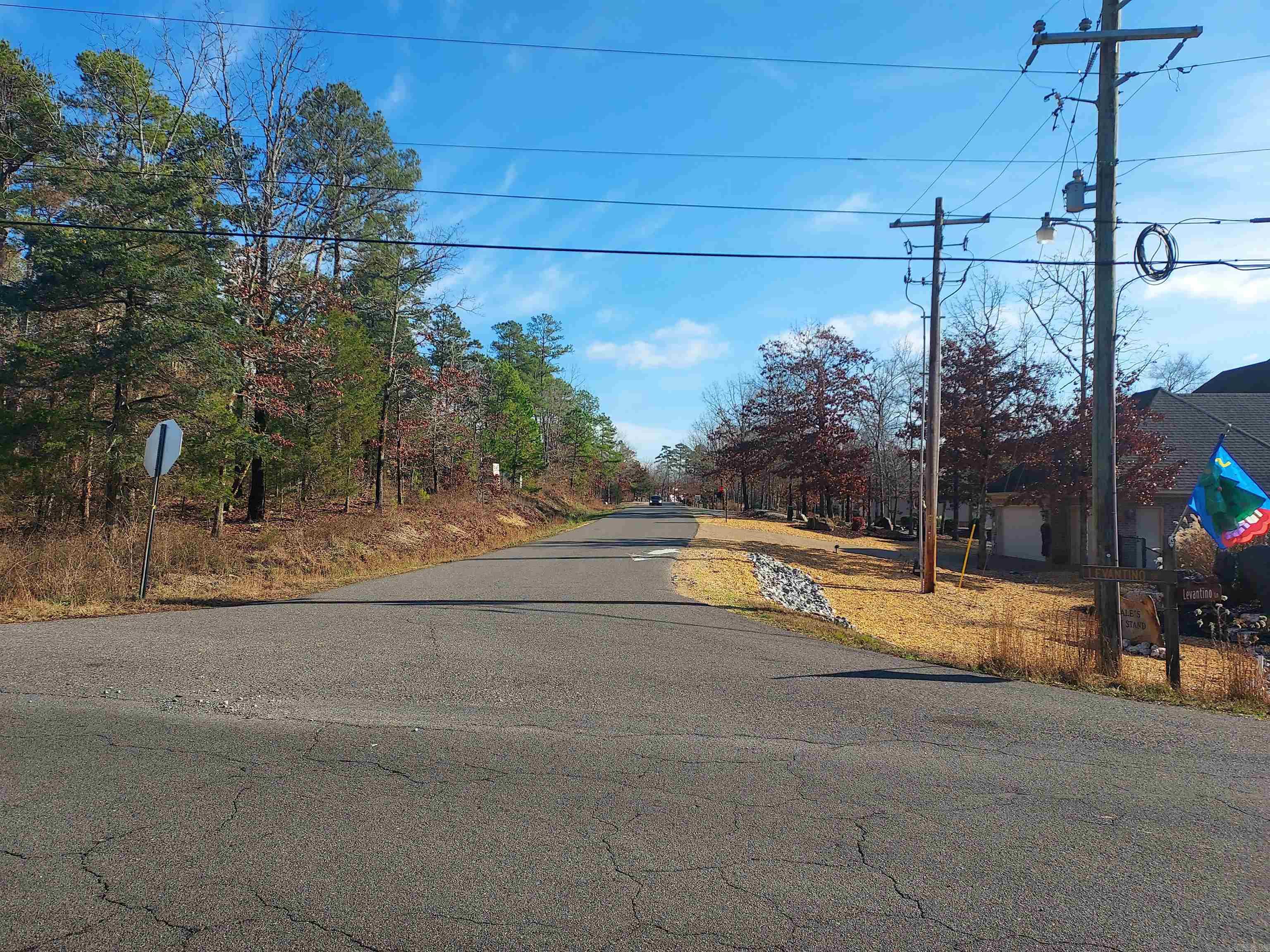 14 Levantino  Hot Springs Village, AR