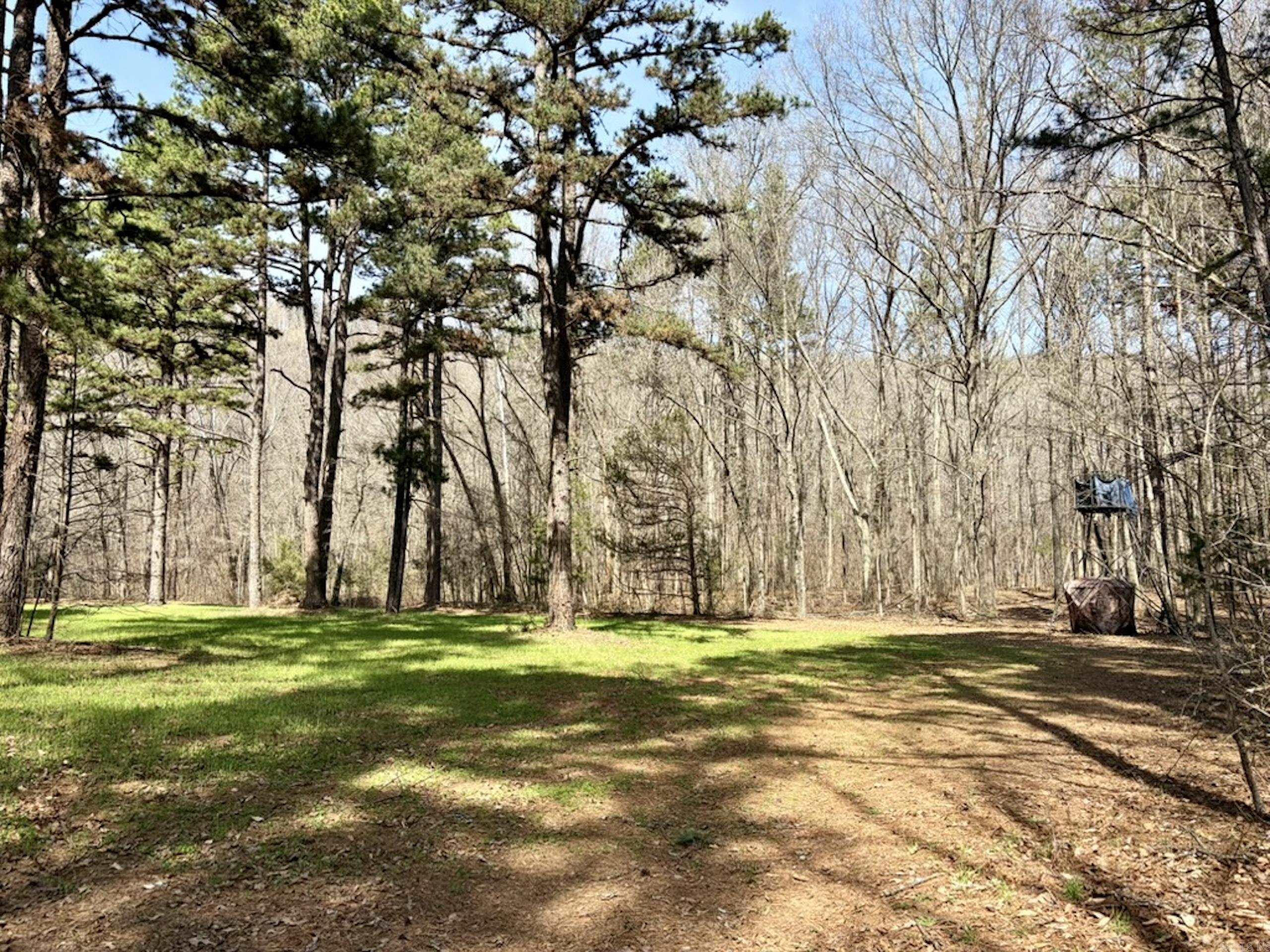 000 Capture That Road  Prim, AR