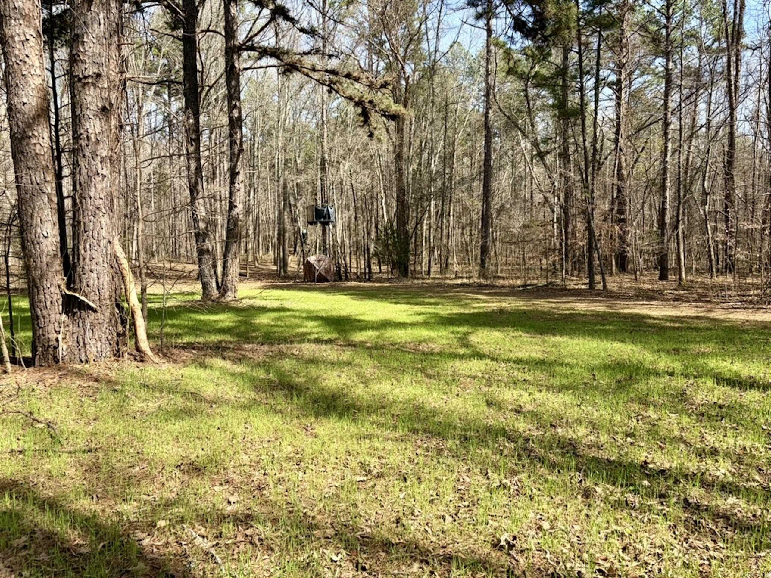 000 Capture That Road  Prim, AR