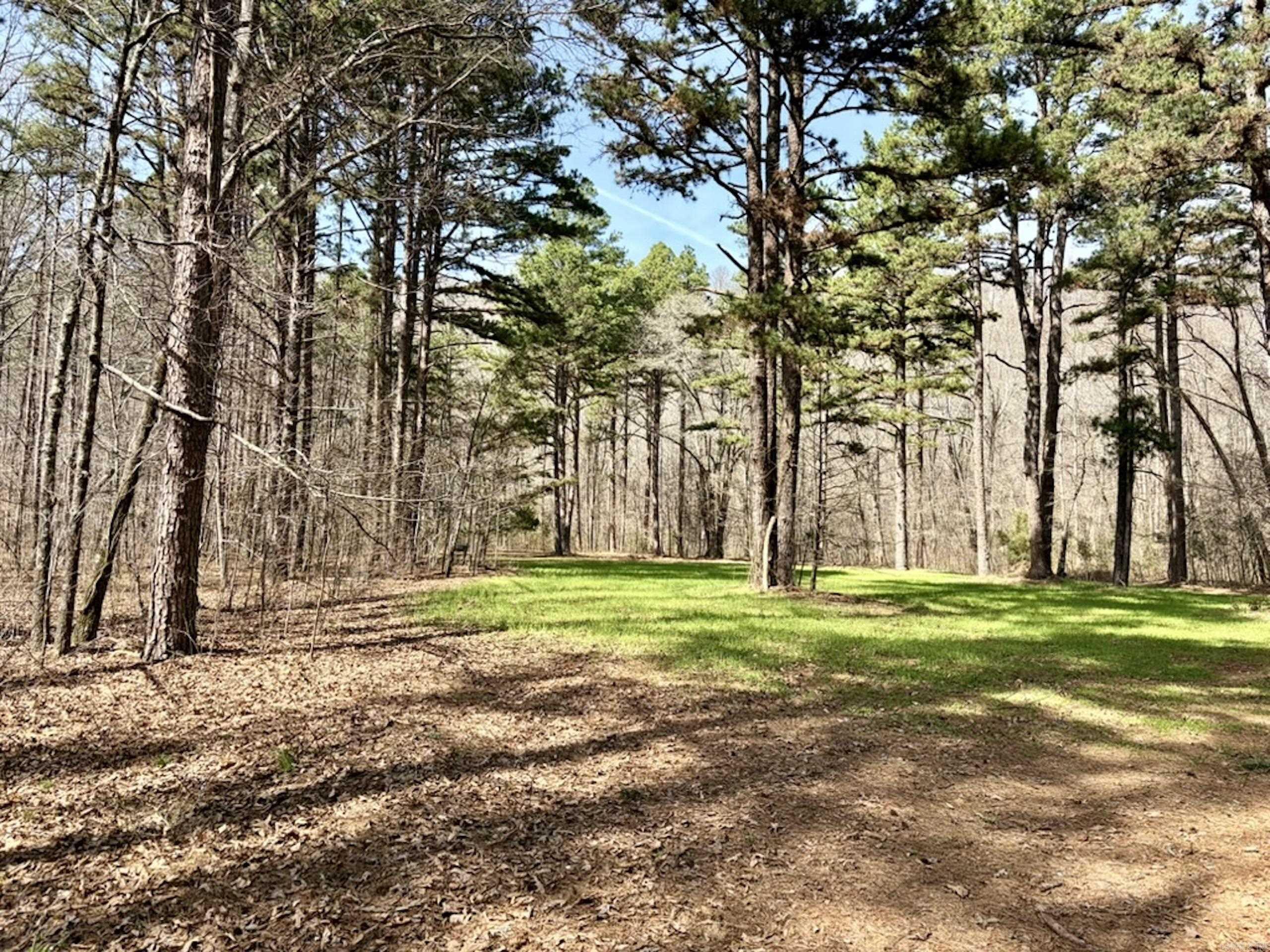 000 Capture That Road  Prim, AR