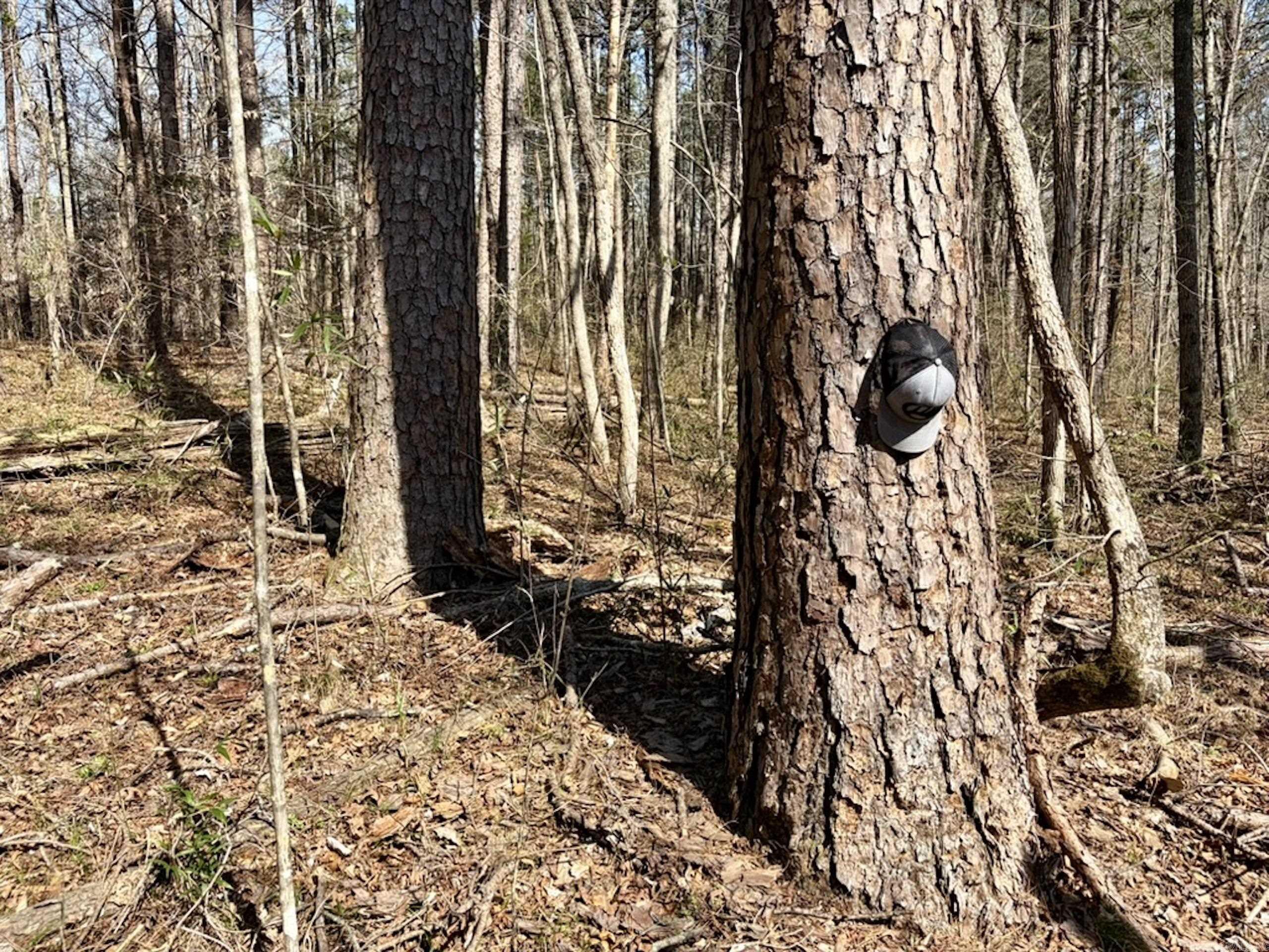 000 Capture That Road  Prim, AR