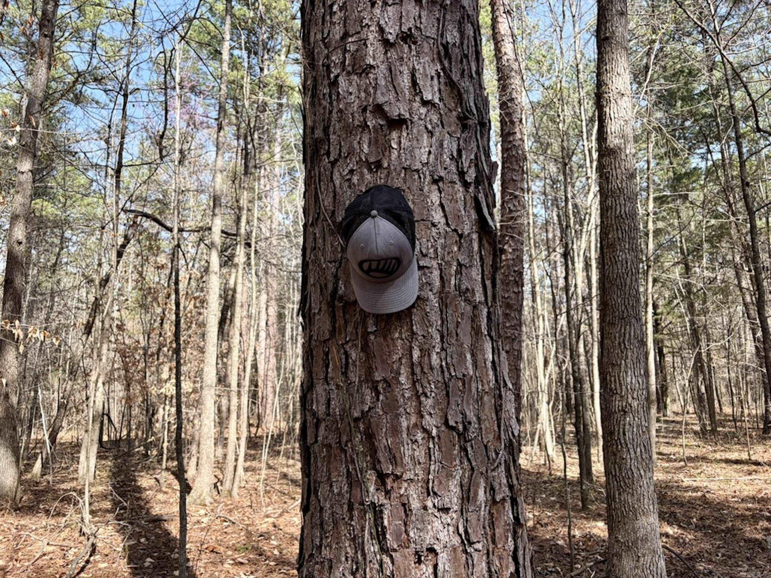 000 Capture That Road  Prim, AR