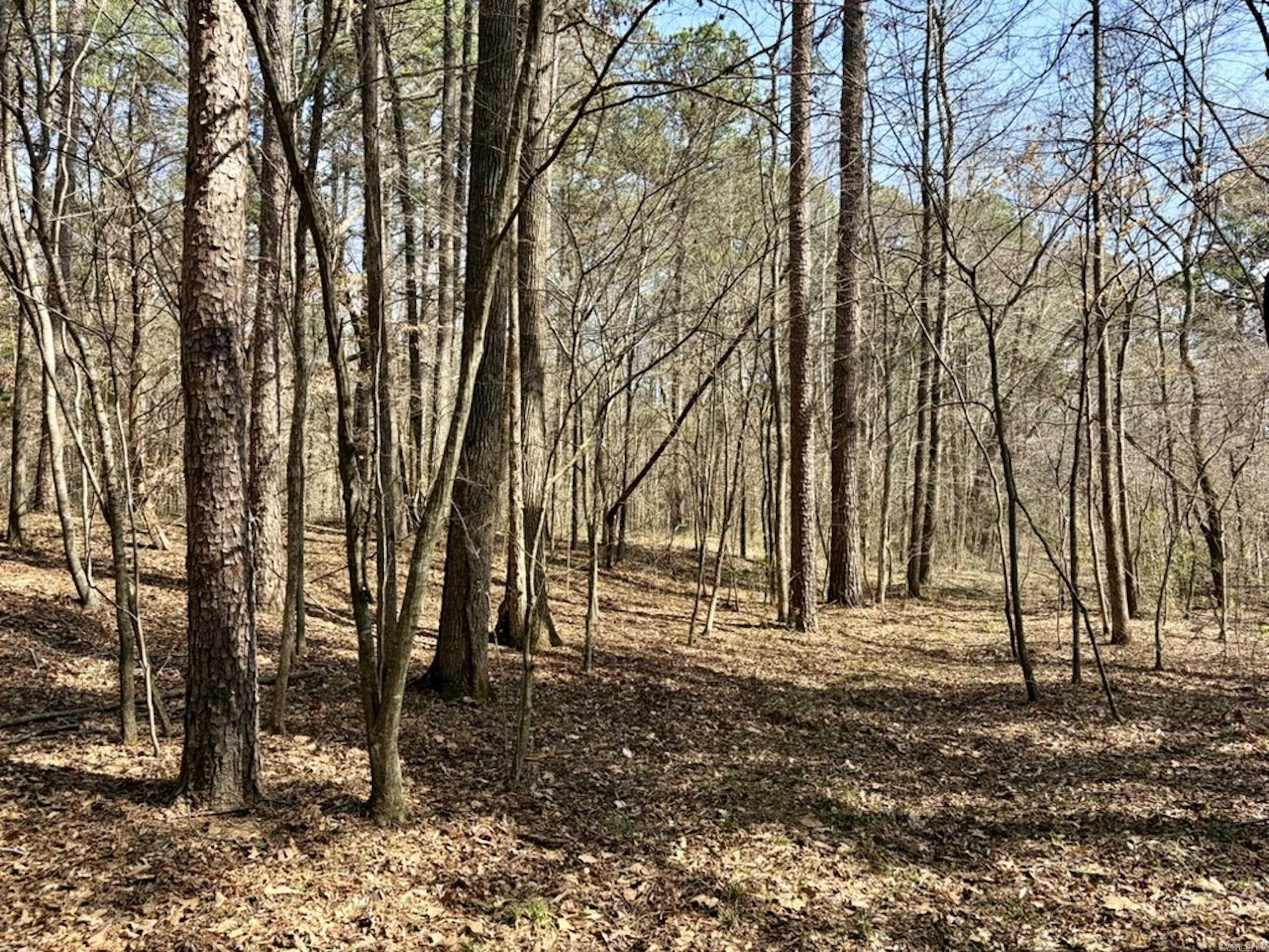 000 Capture That Road  Prim, AR