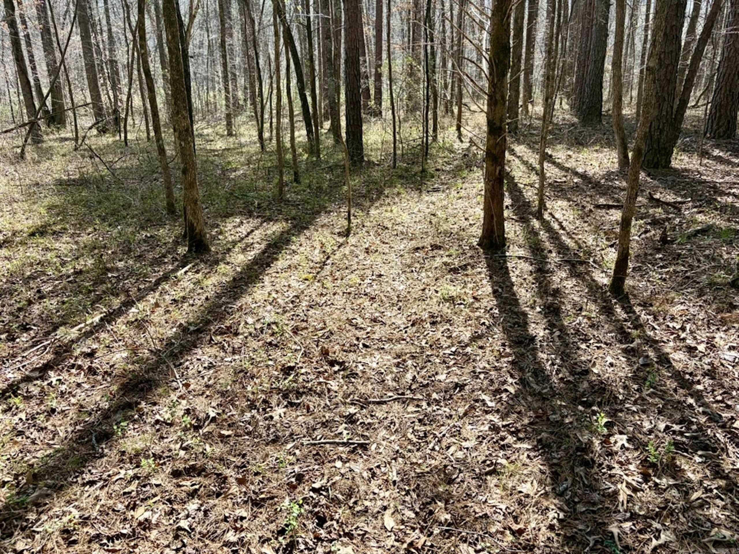 000 Capture That Road  Prim, AR