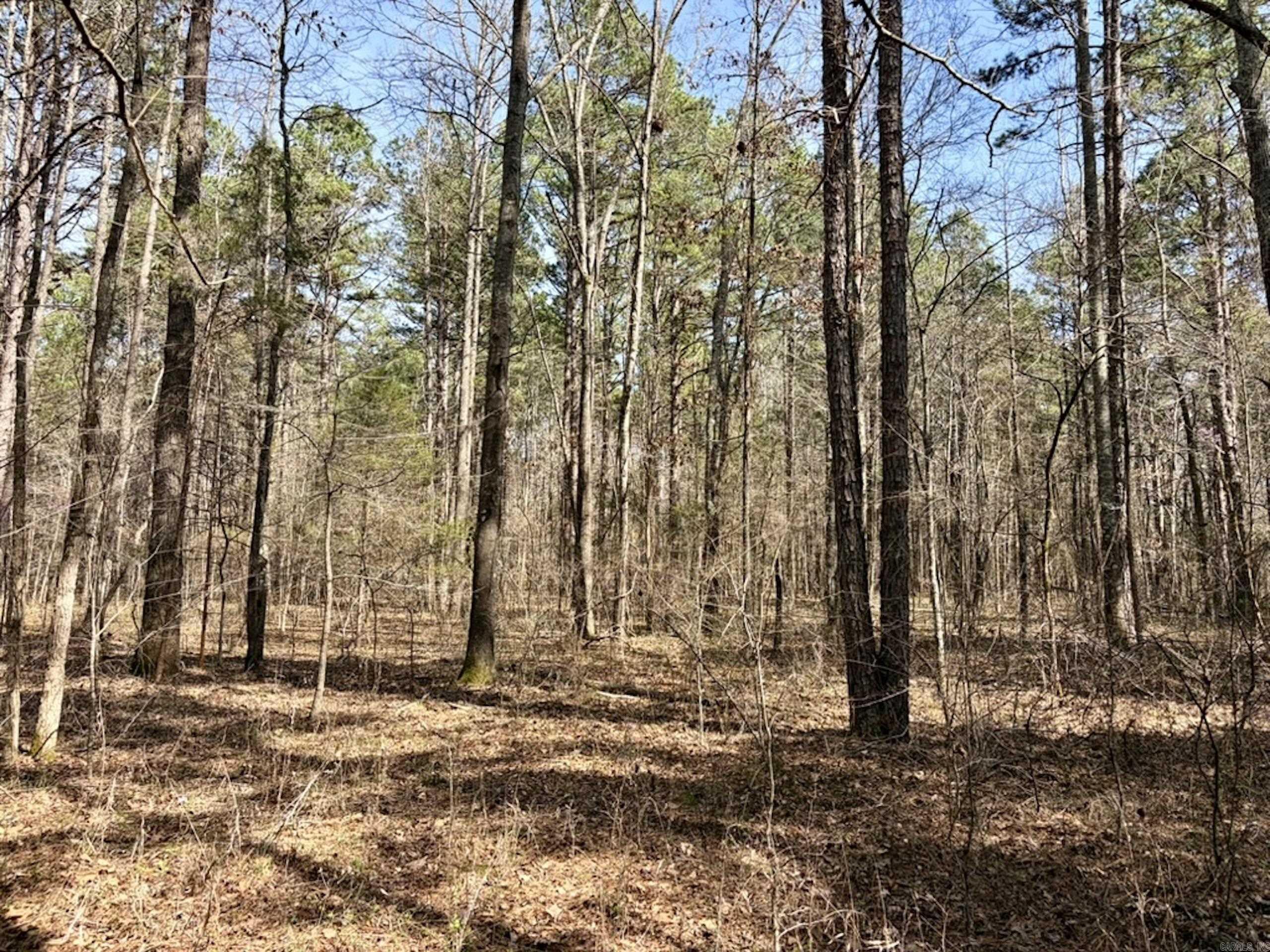 000 Capture That Road  Prim, AR