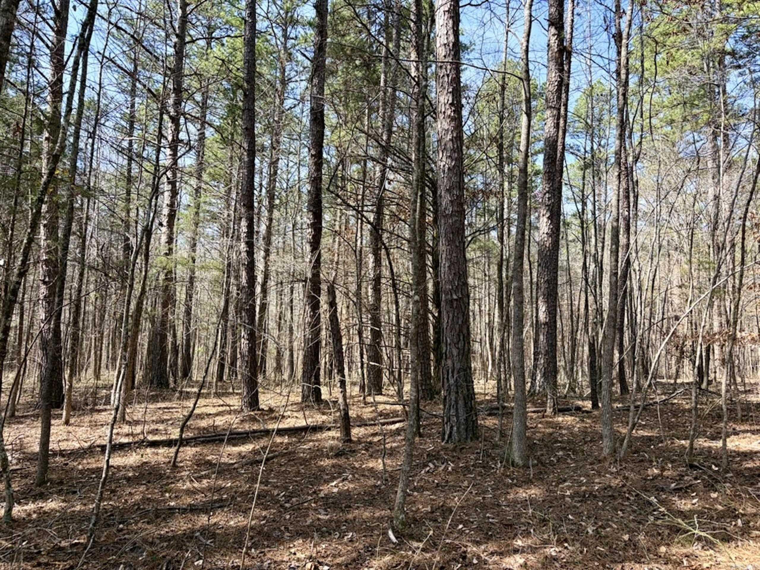 000 Capture That Road  Prim, AR