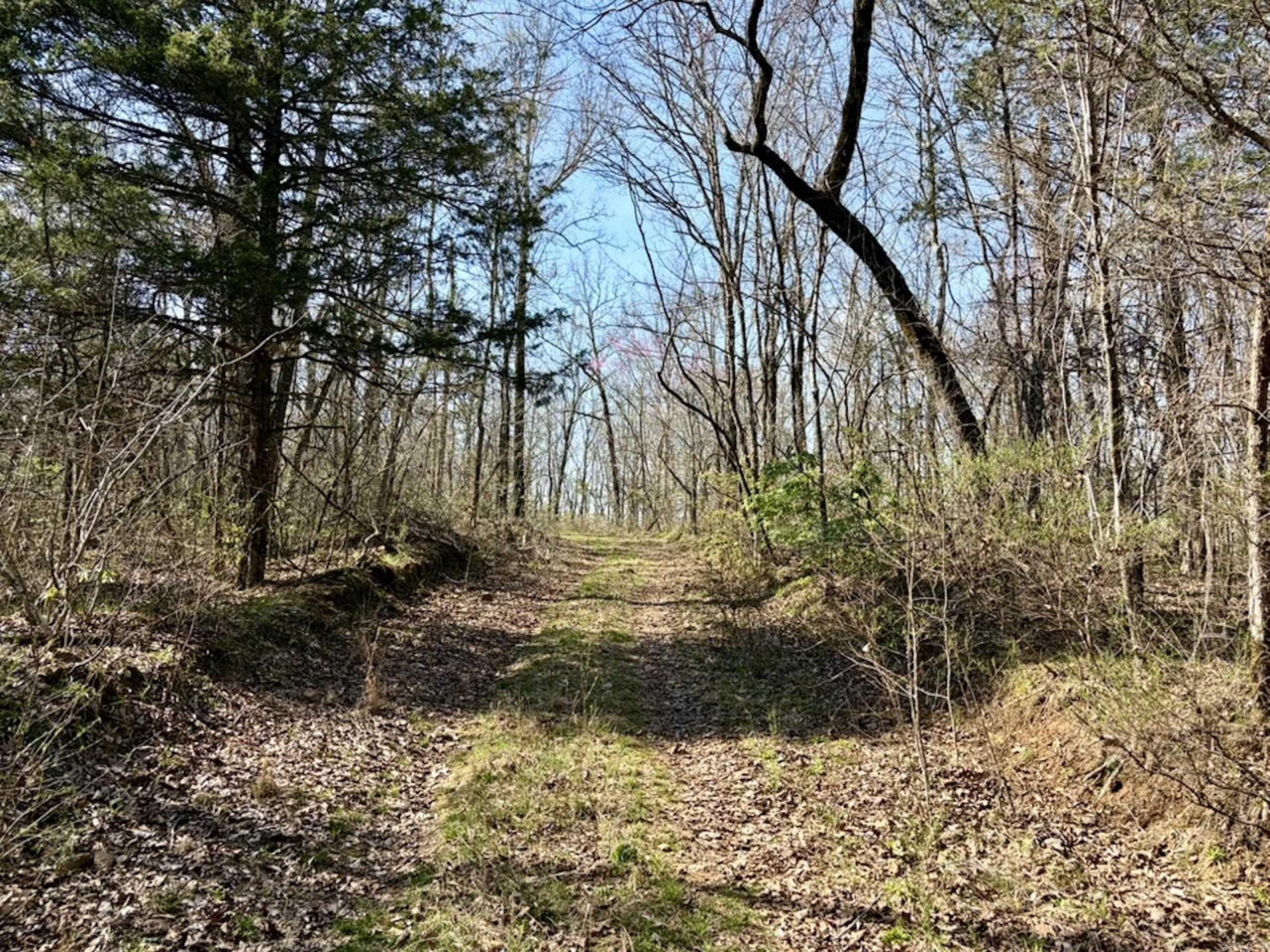 000 Capture That Road  Prim, AR