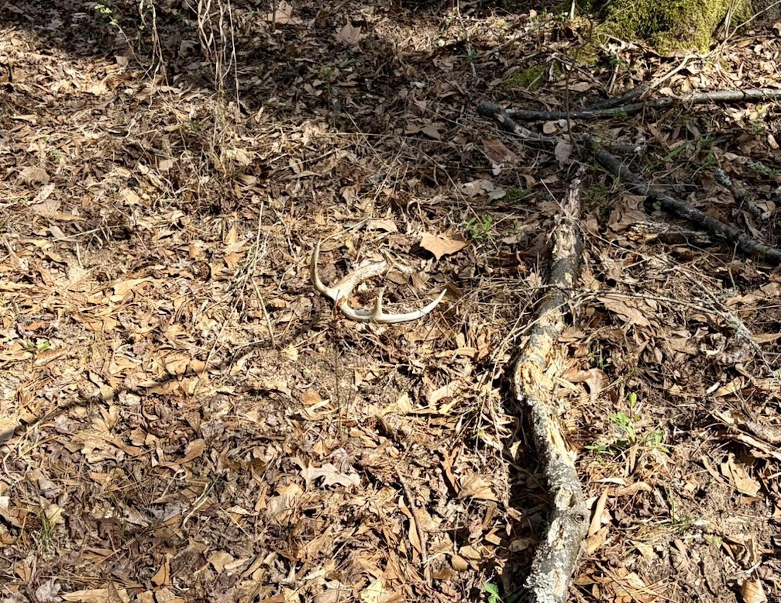 000 Capture That Road  Prim, AR