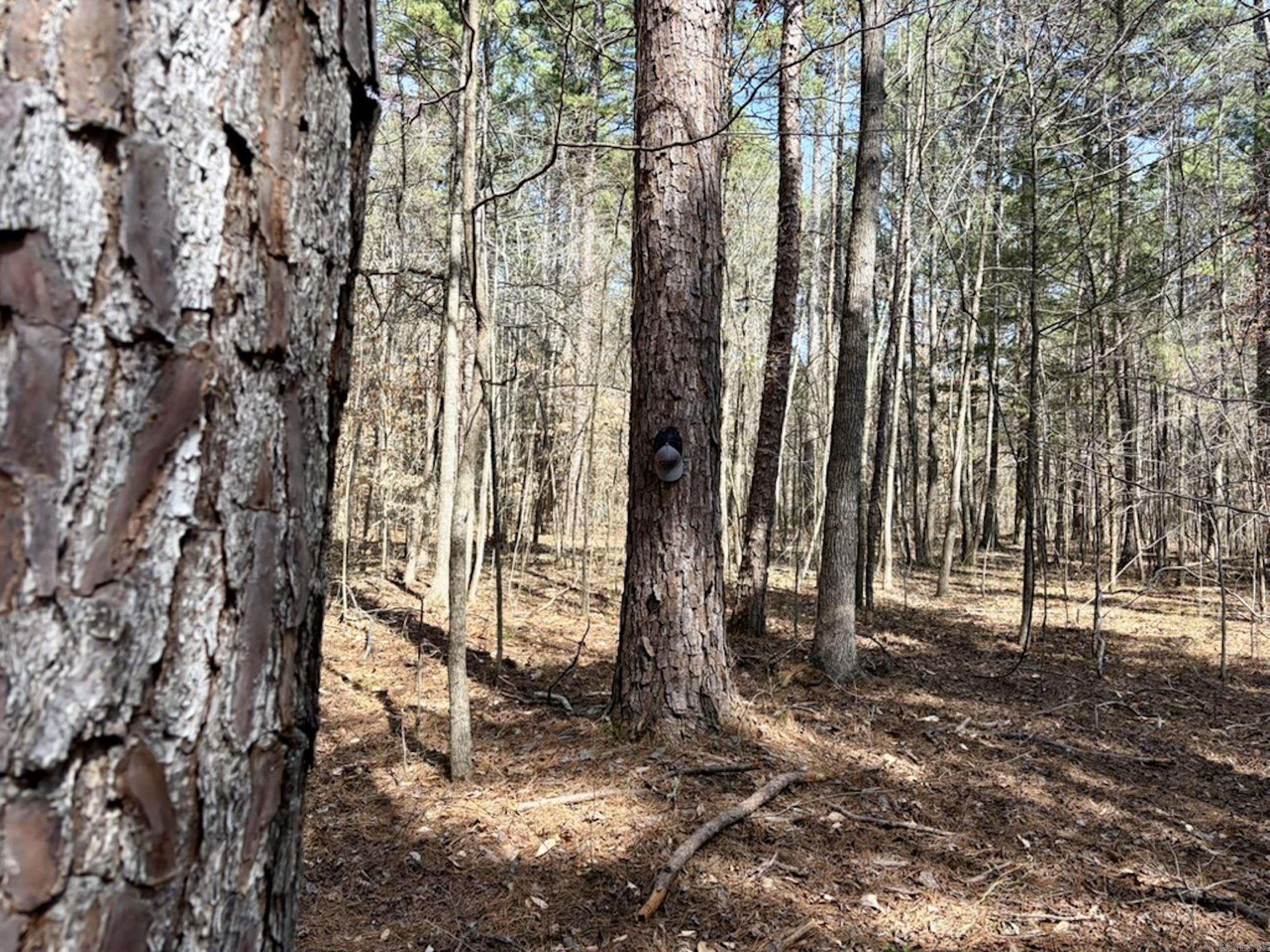 000 Capture That Road  Prim, AR