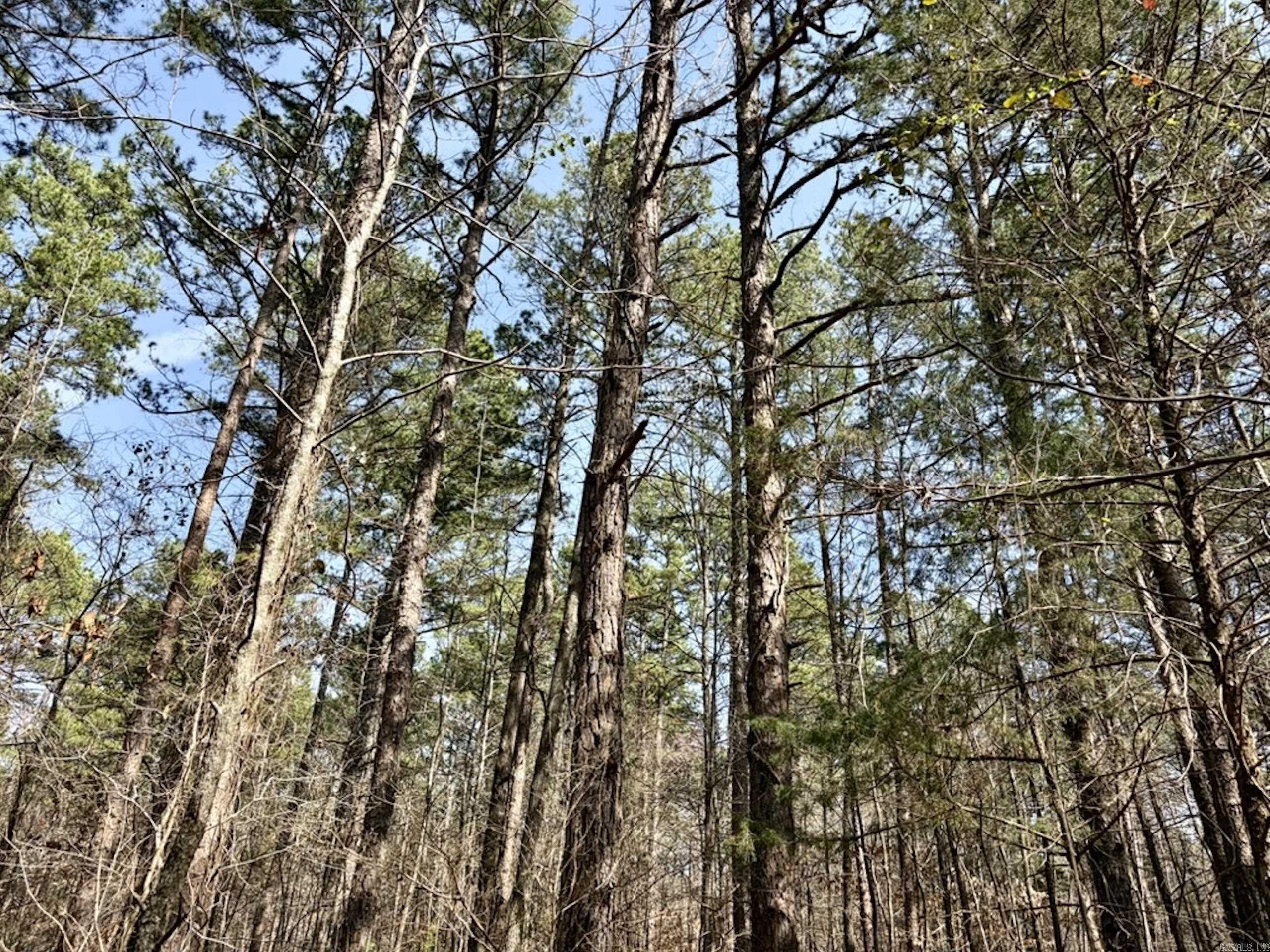 000 Capture That Road  Prim, AR