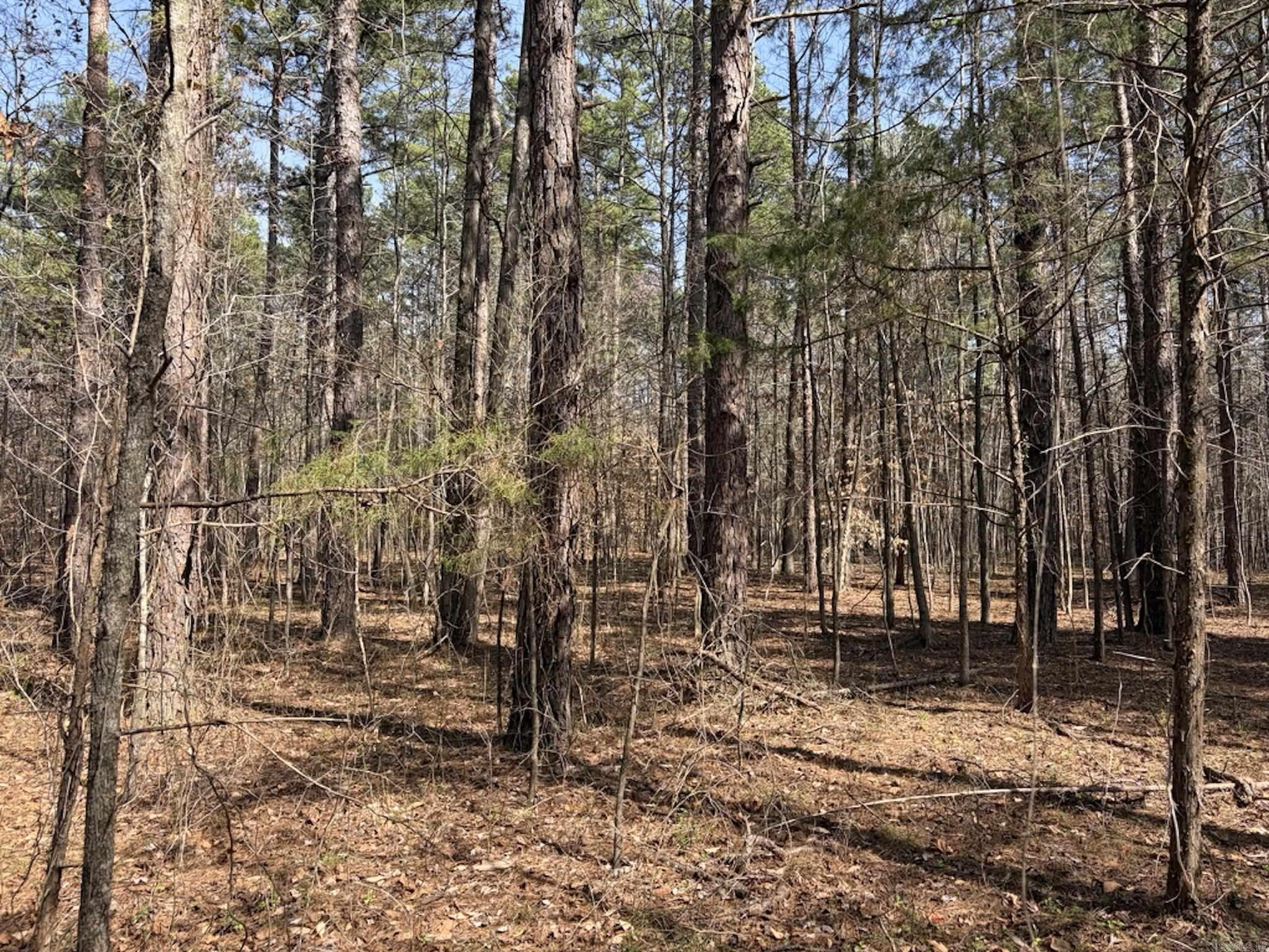 000 Capture That Road  Prim, AR