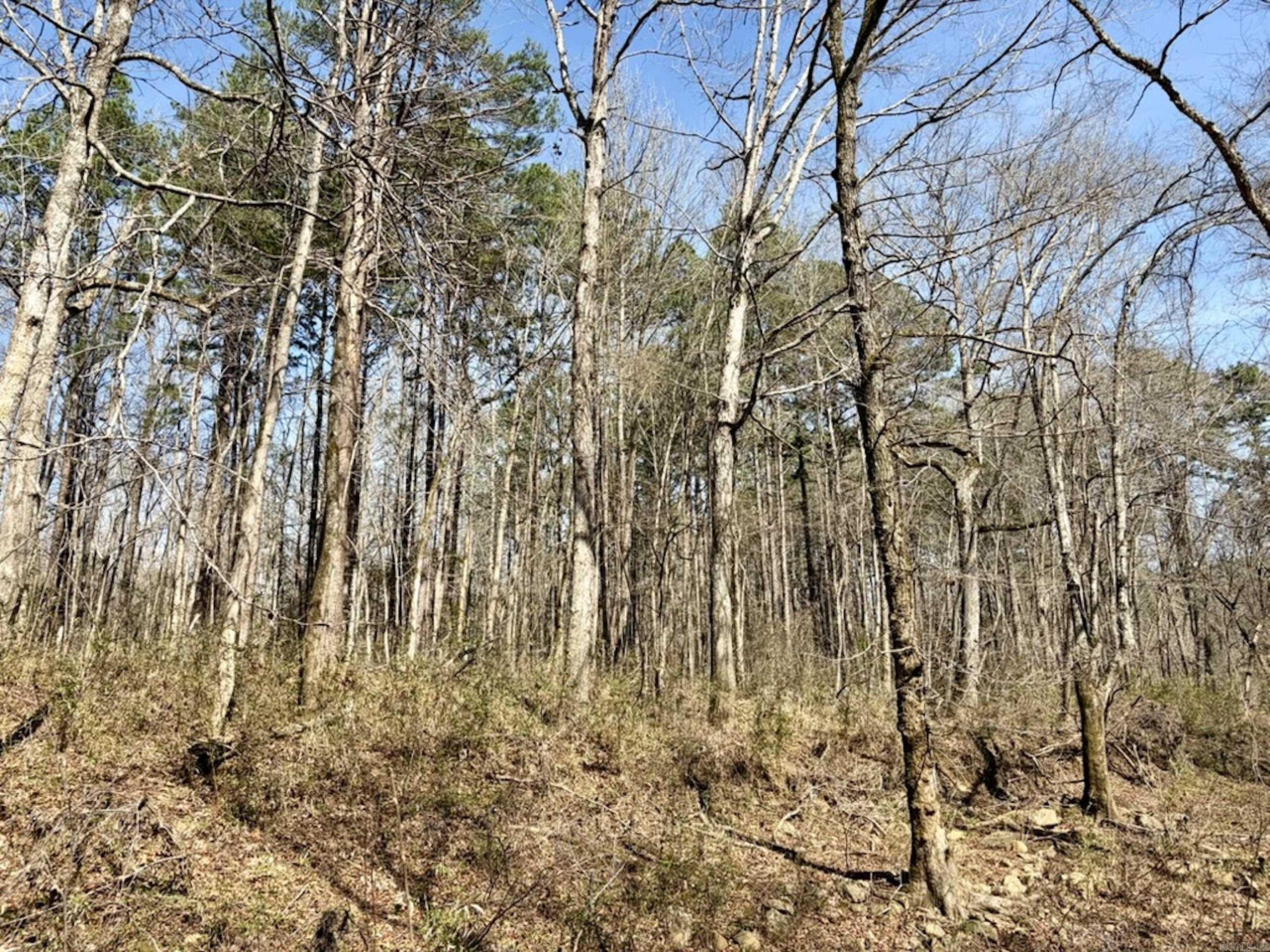 000 Capture That Road  Prim, AR