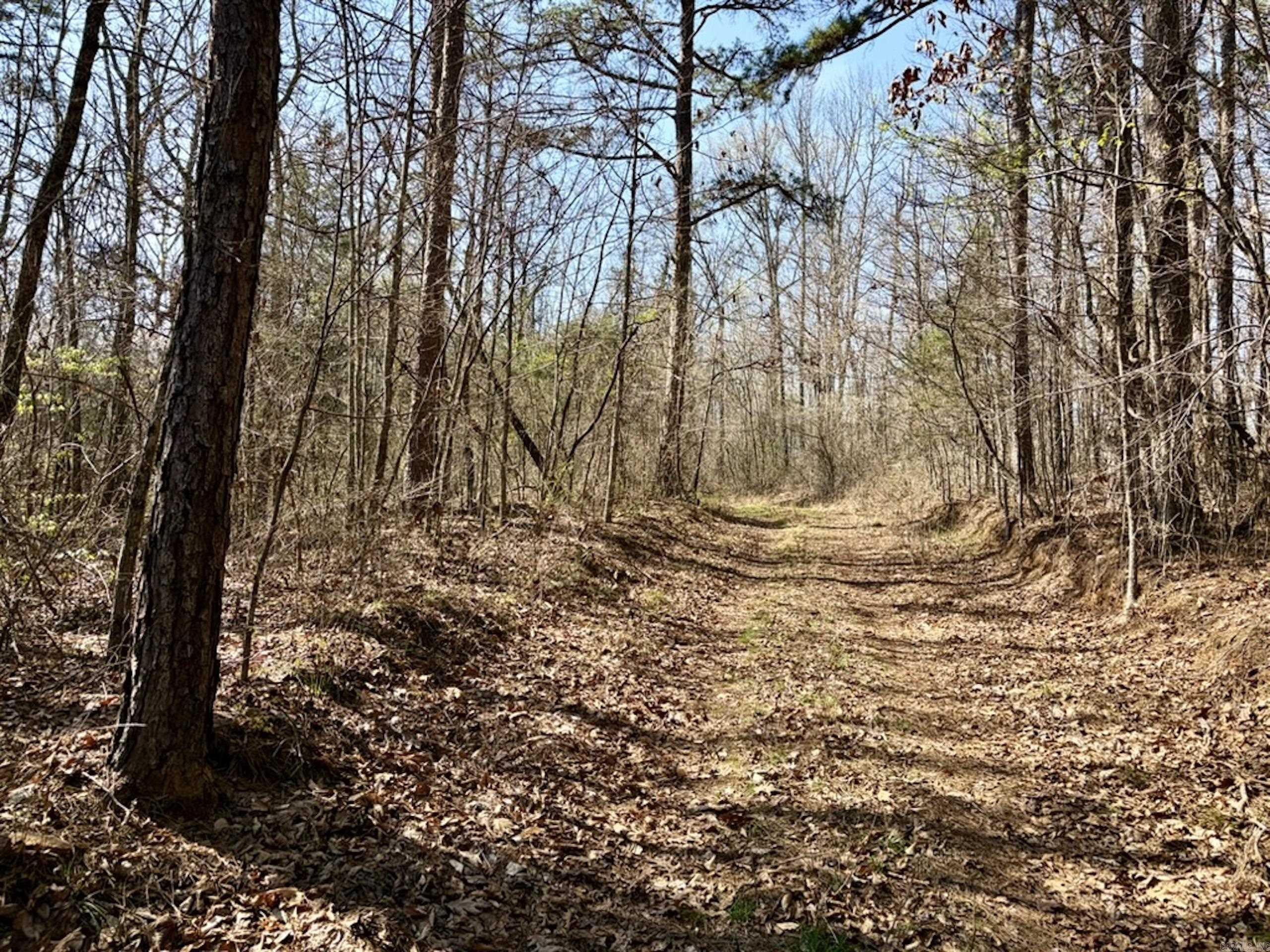 000 Capture That Road  Prim, AR