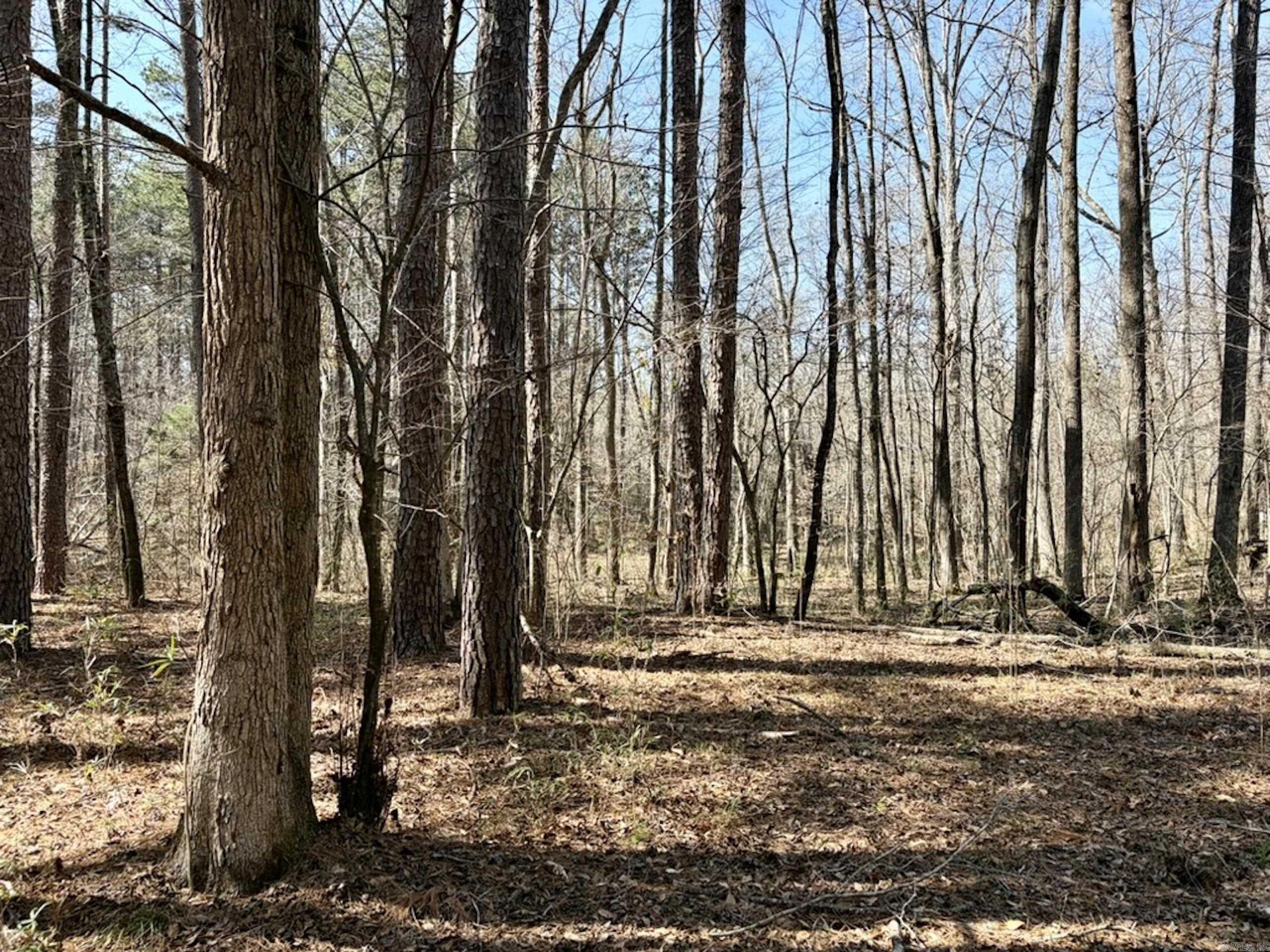 000 Capture That Road  Prim, AR