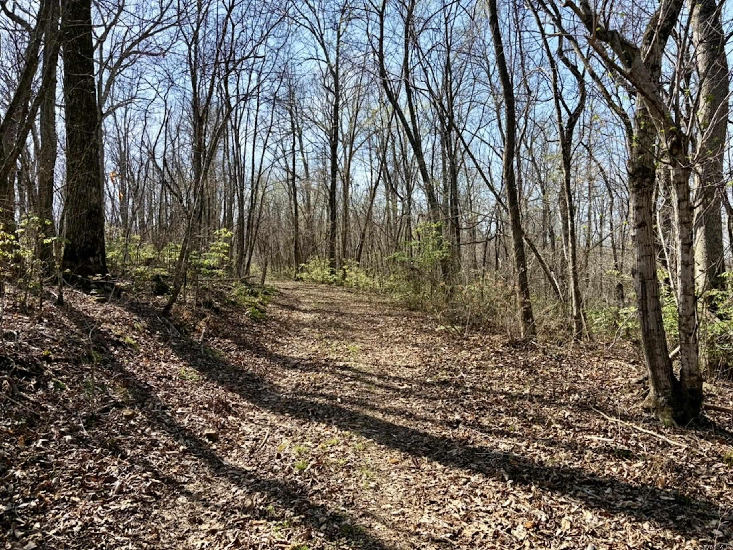 000 Capture That Road  Prim, AR