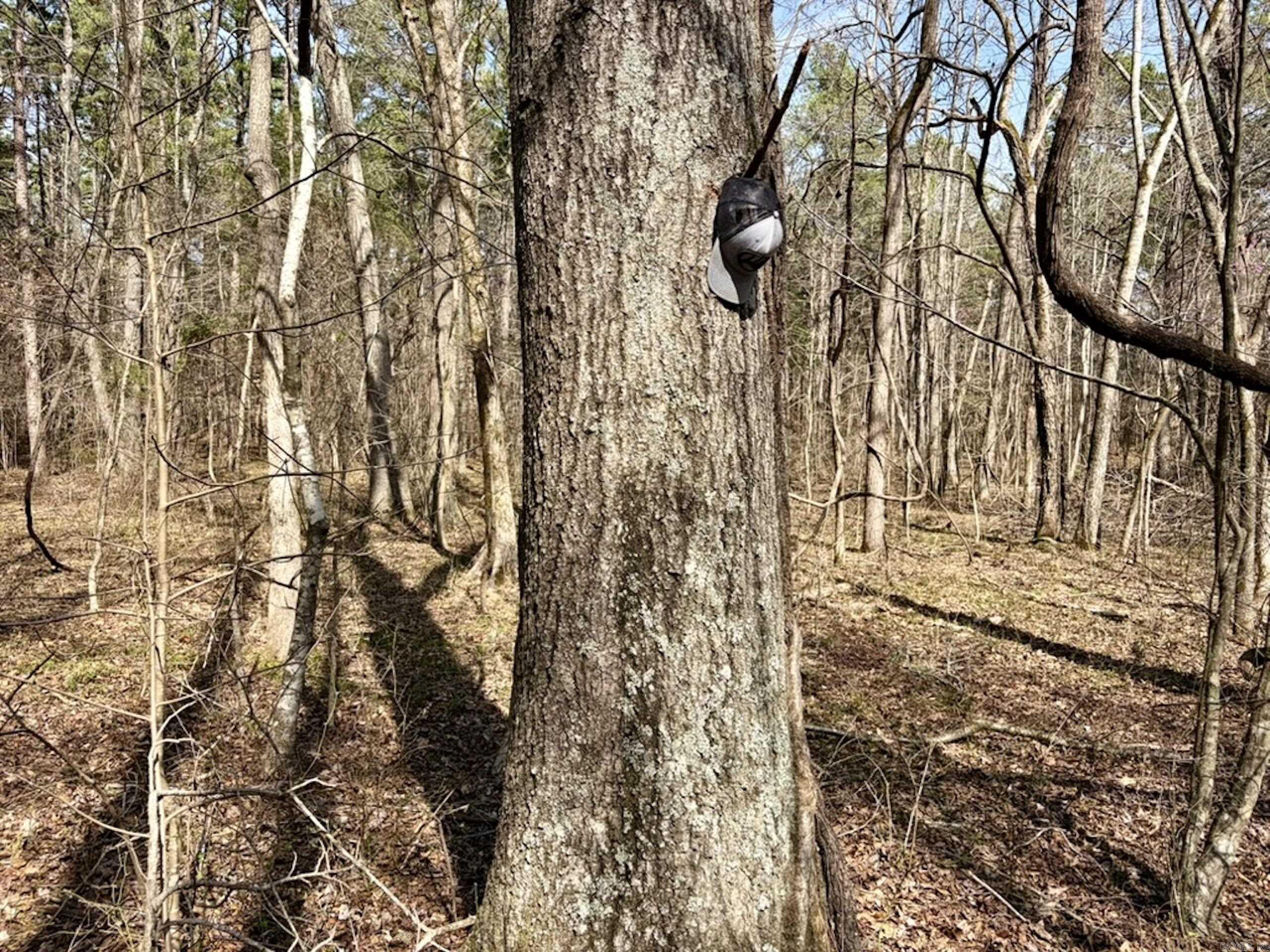 000 Capture That Road  Prim, AR