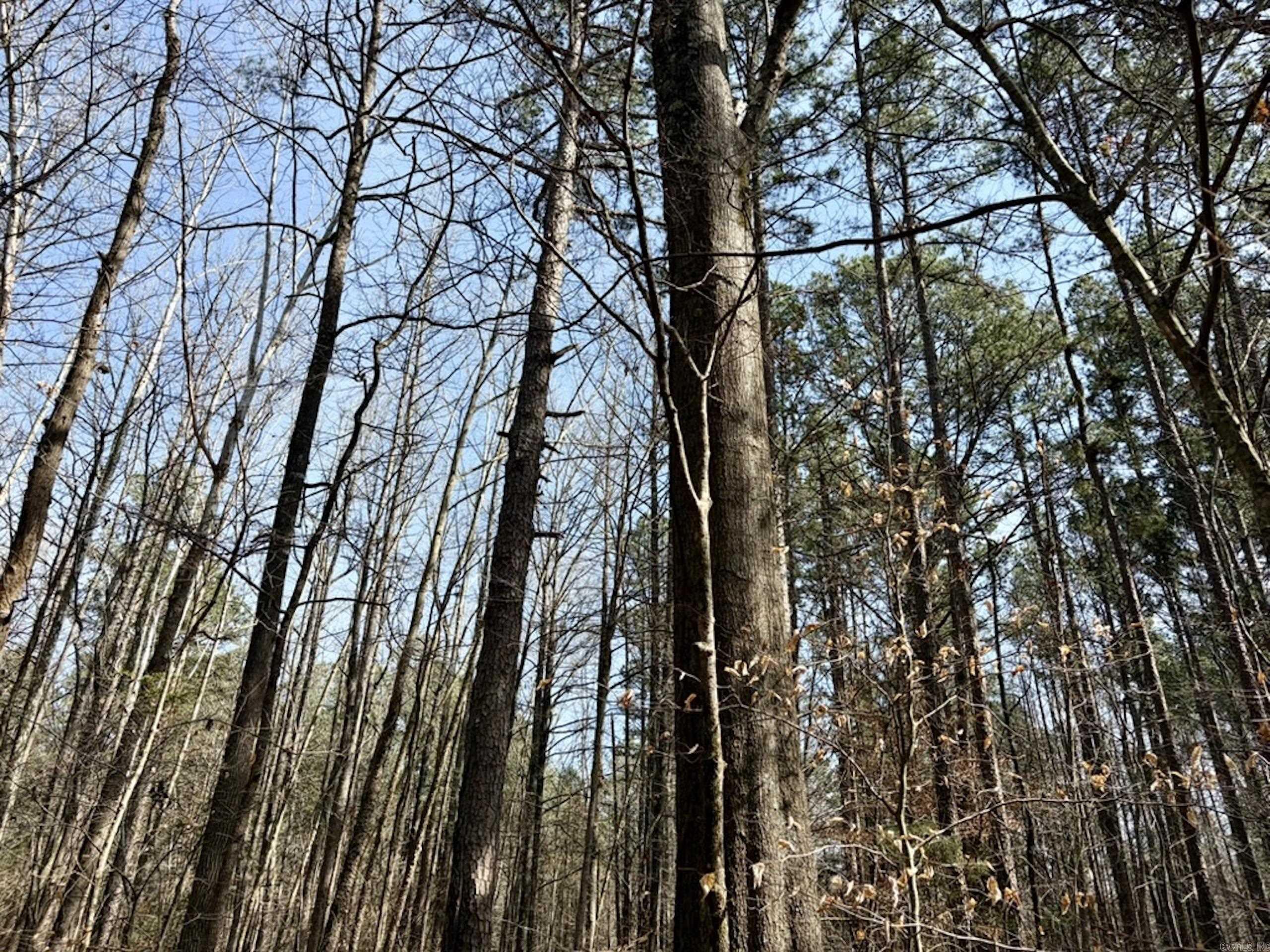 000 Capture That Road  Prim, AR