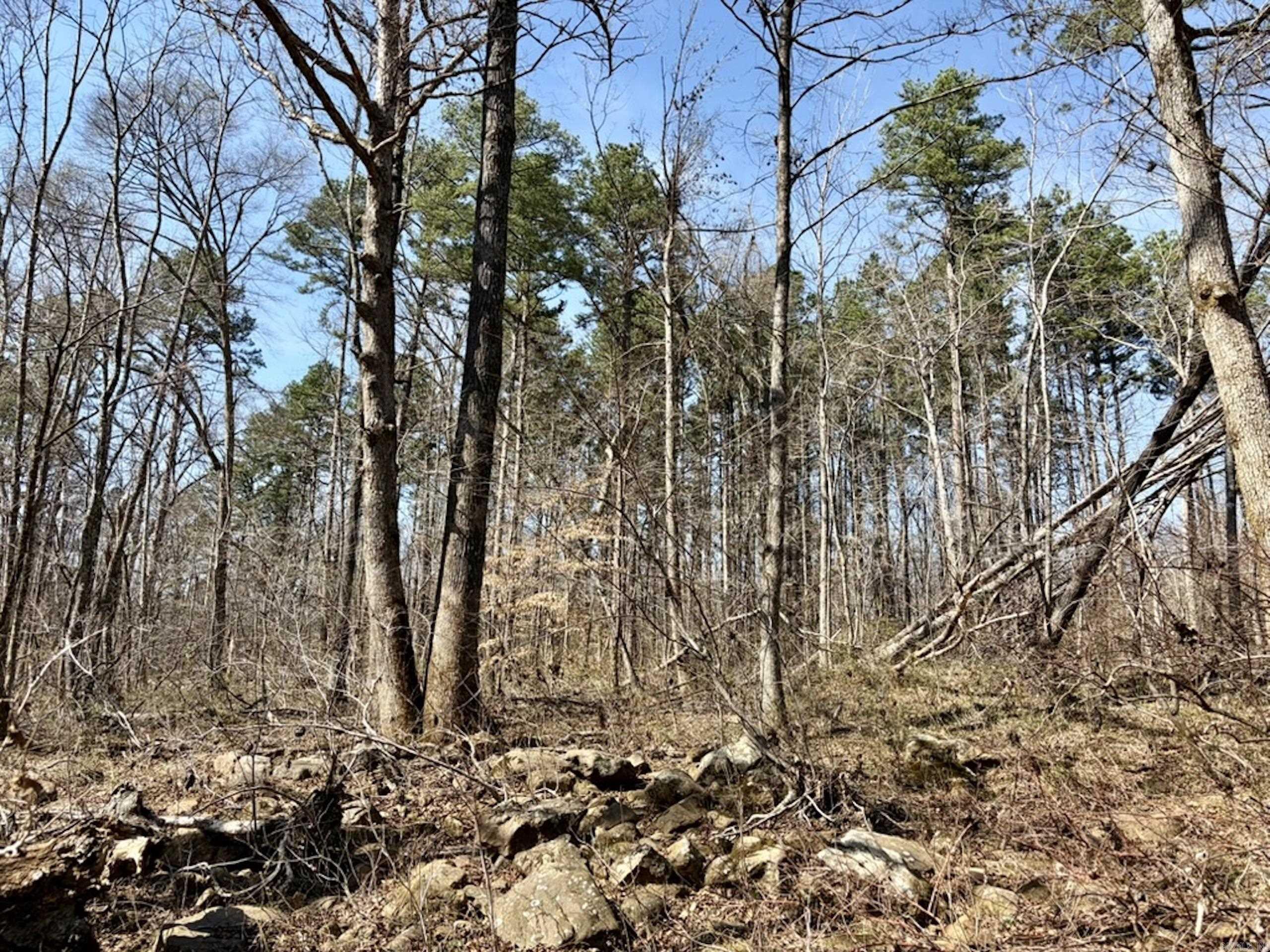 000 Capture That Road  Prim, AR