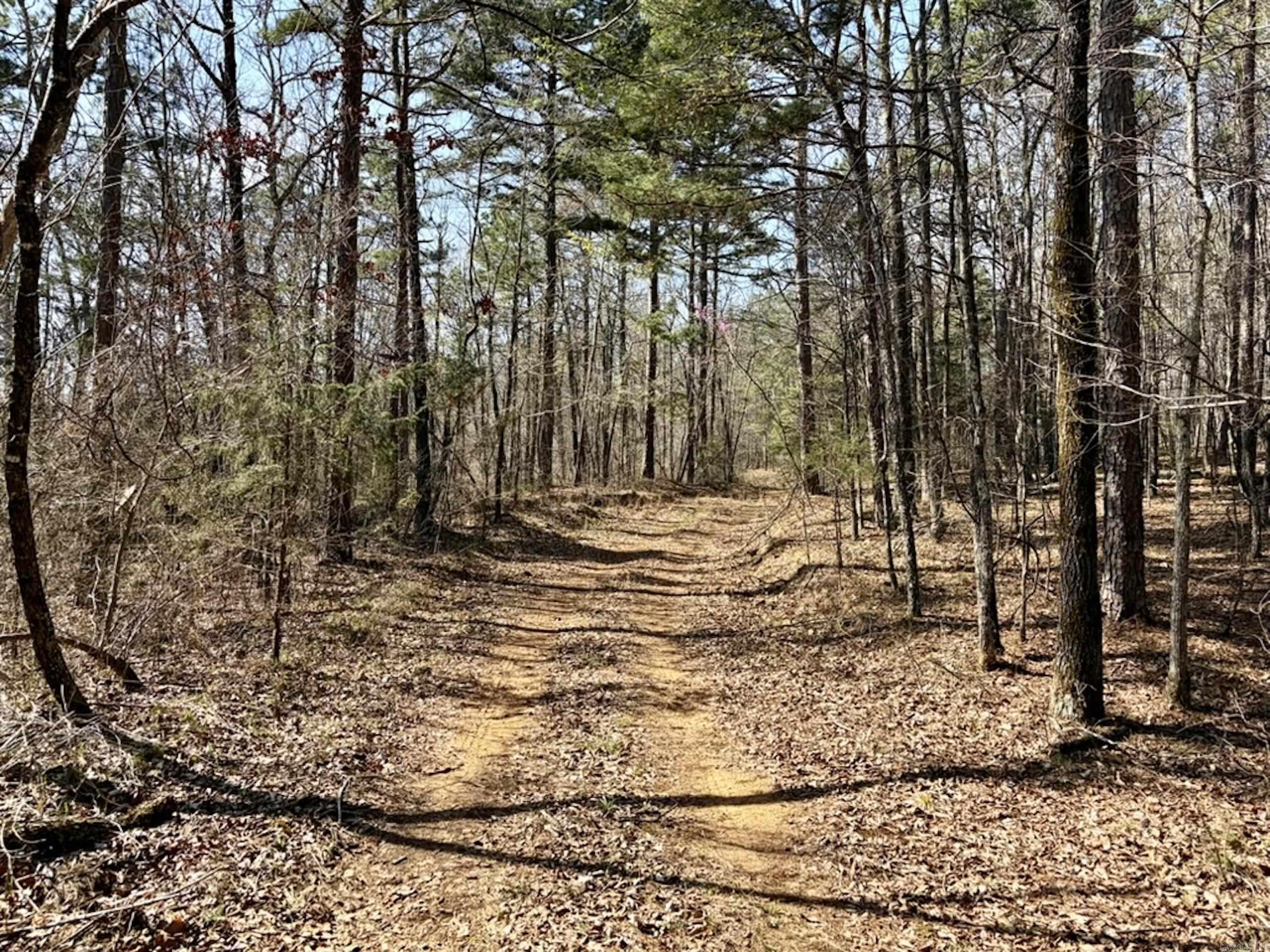 000 Capture That Road  Prim, AR