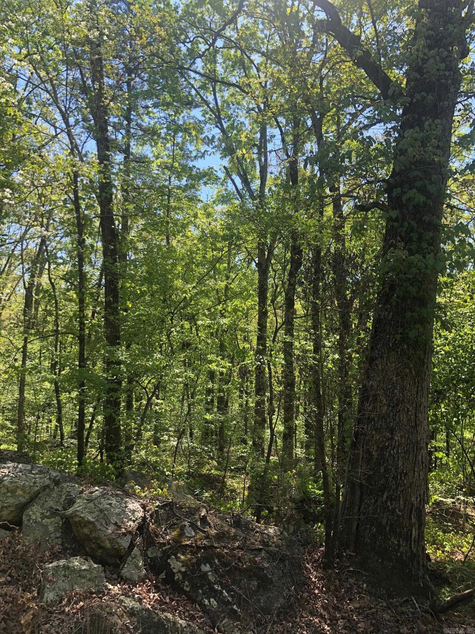 Tract 14 Weldon Rd.  Edgemont, AR