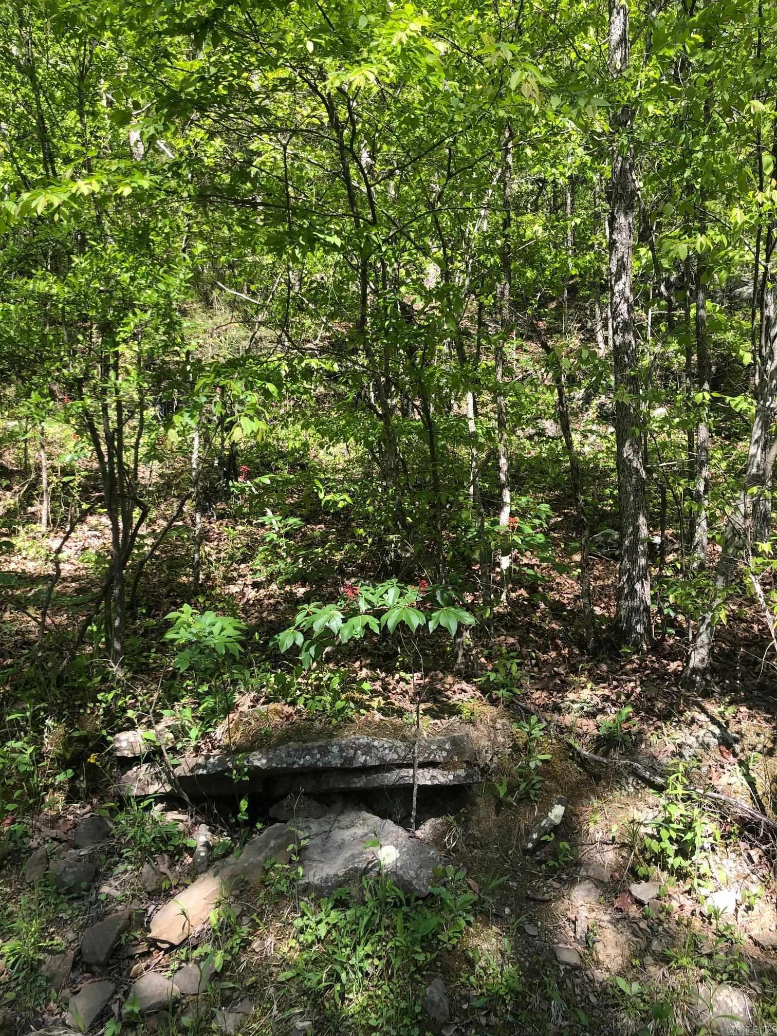 Tract 14 Weldon Rd.  Edgemont, AR