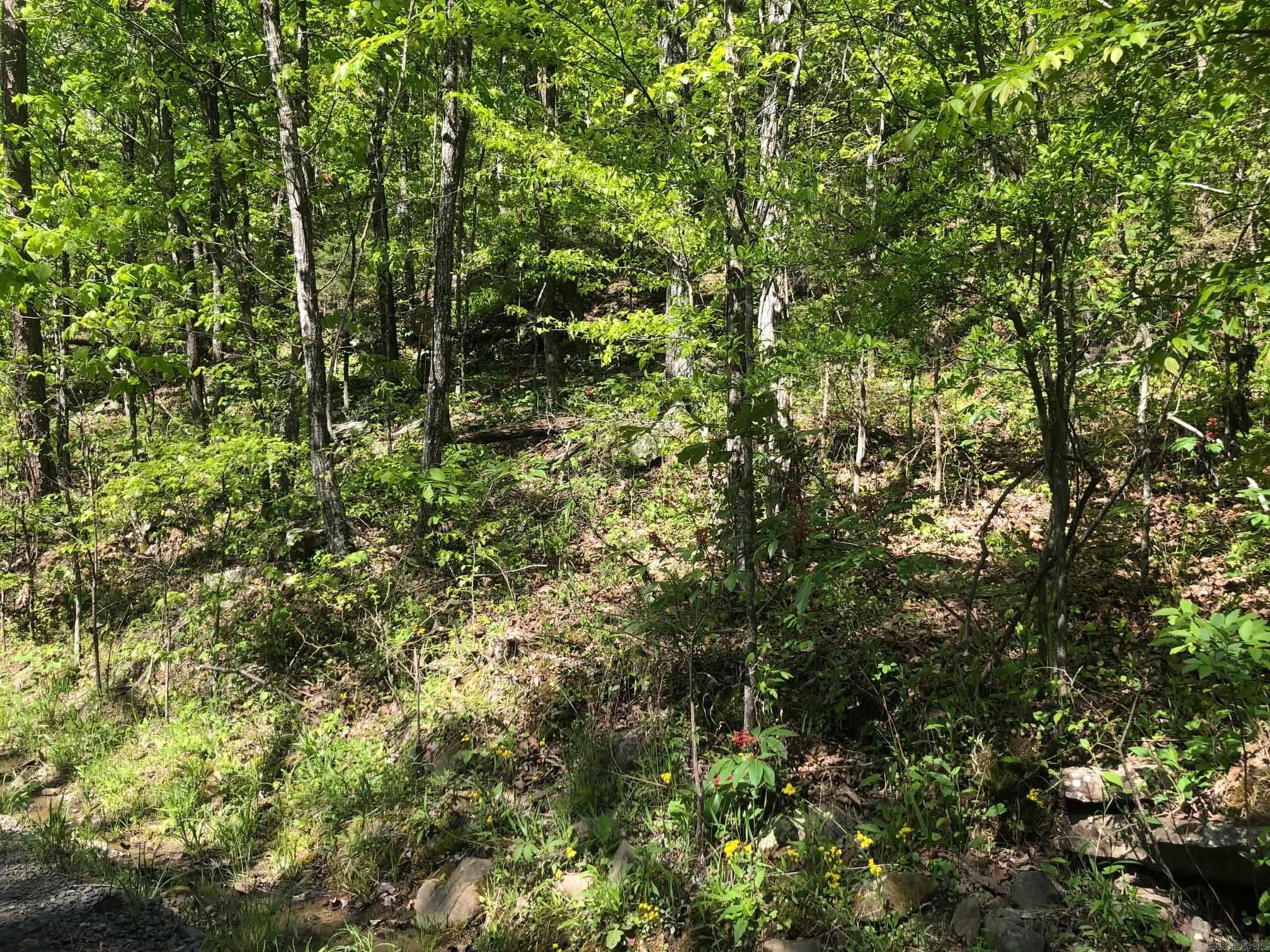 Tract 14 Weldon Rd.  Edgemont, AR