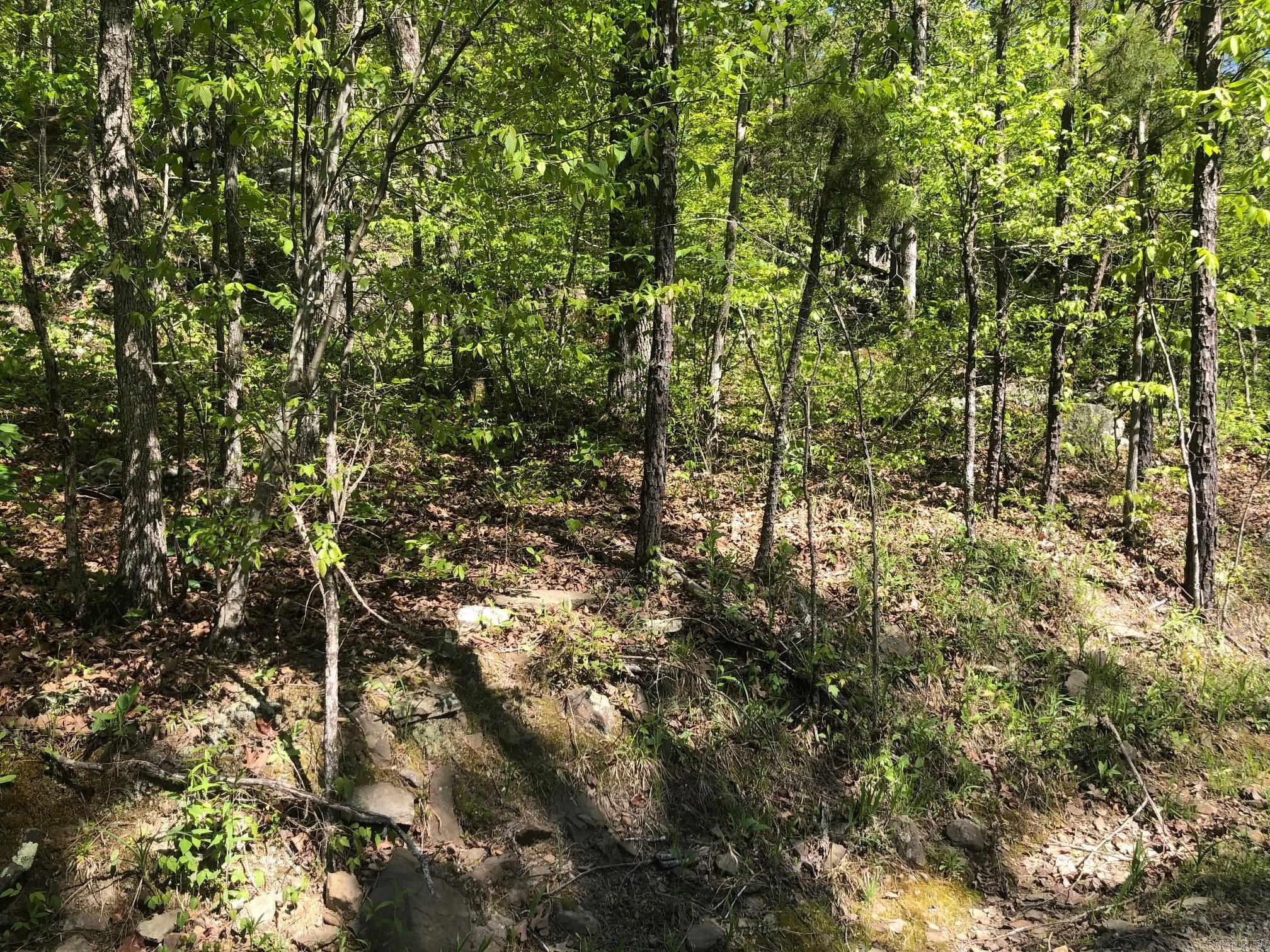 Tract 14 Weldon Rd.  Edgemont, AR