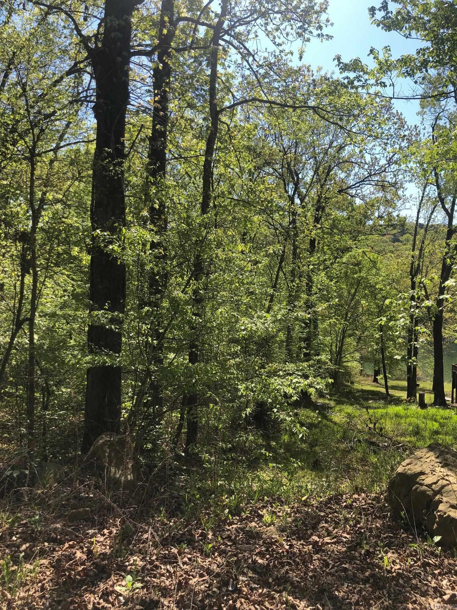 Tract 14 Weldon Rd.  Edgemont, AR