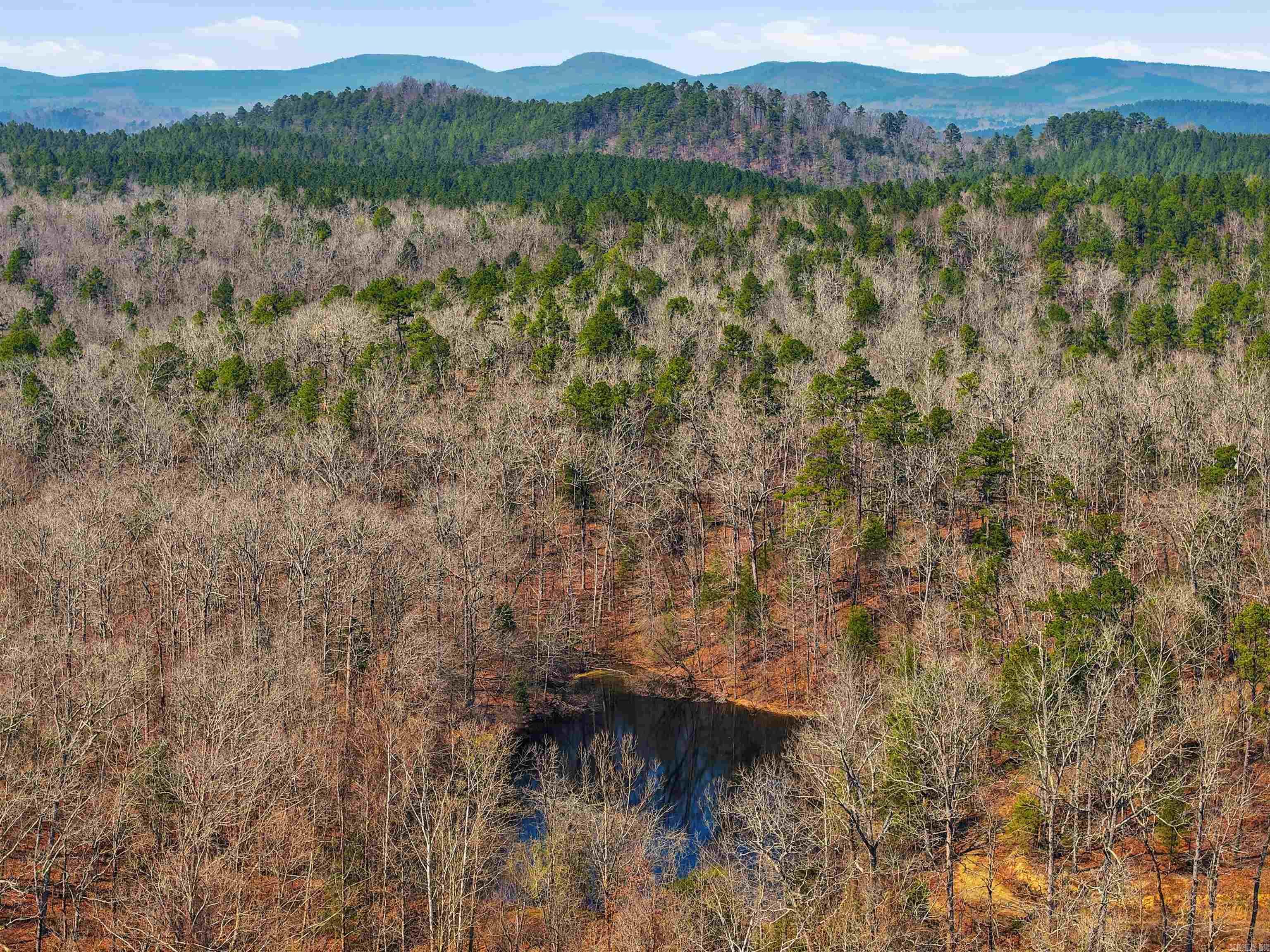 15712 Joe Johnson  Benton, AR