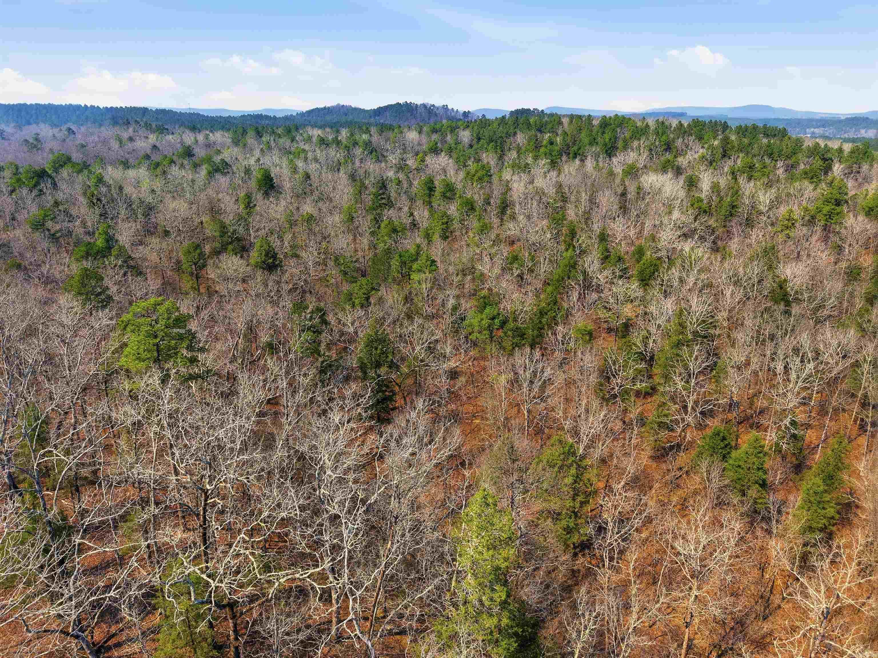 15712 Joe Johnson  Benton, AR