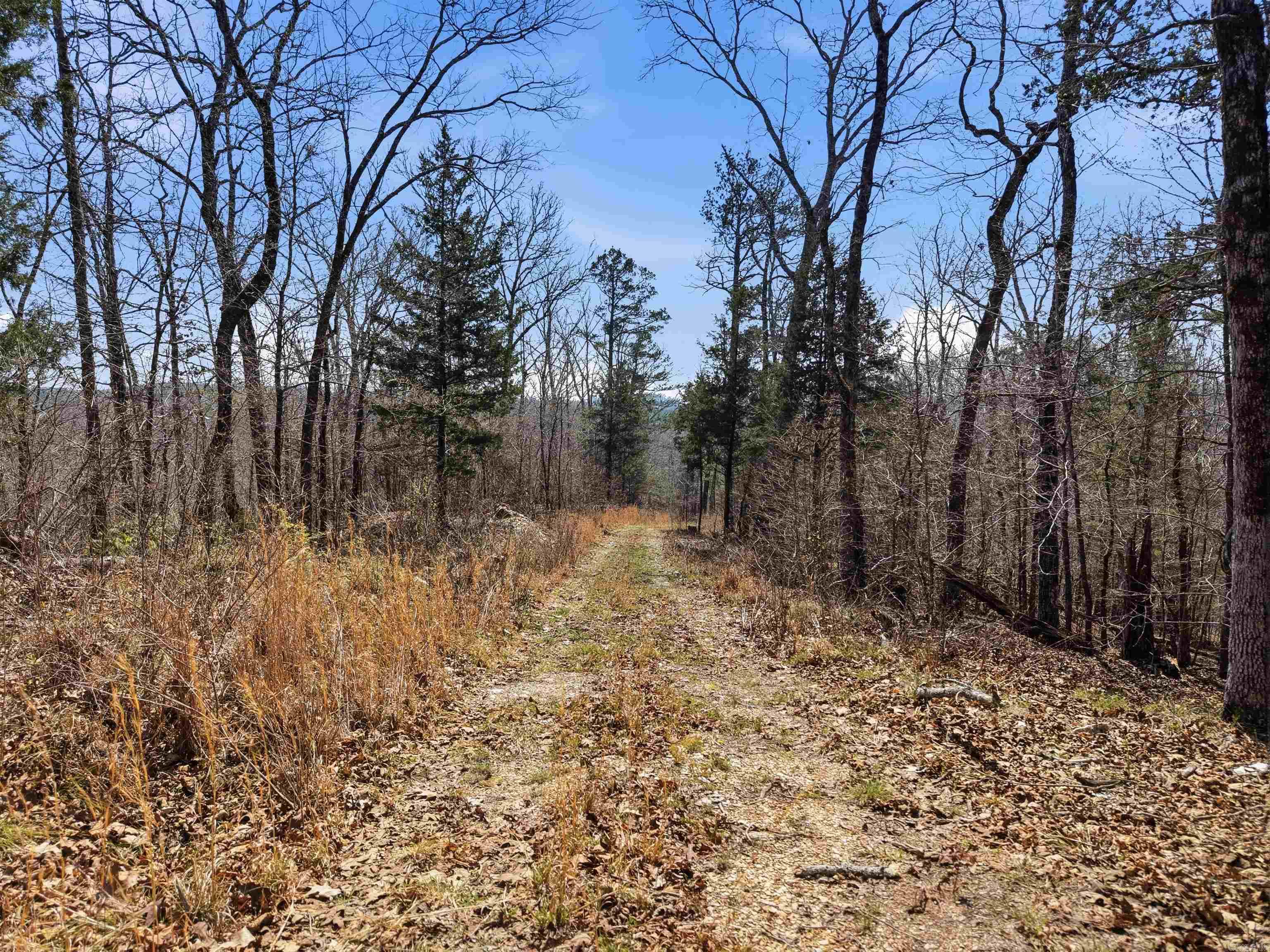 15712 Joe Johnson  Benton, AR