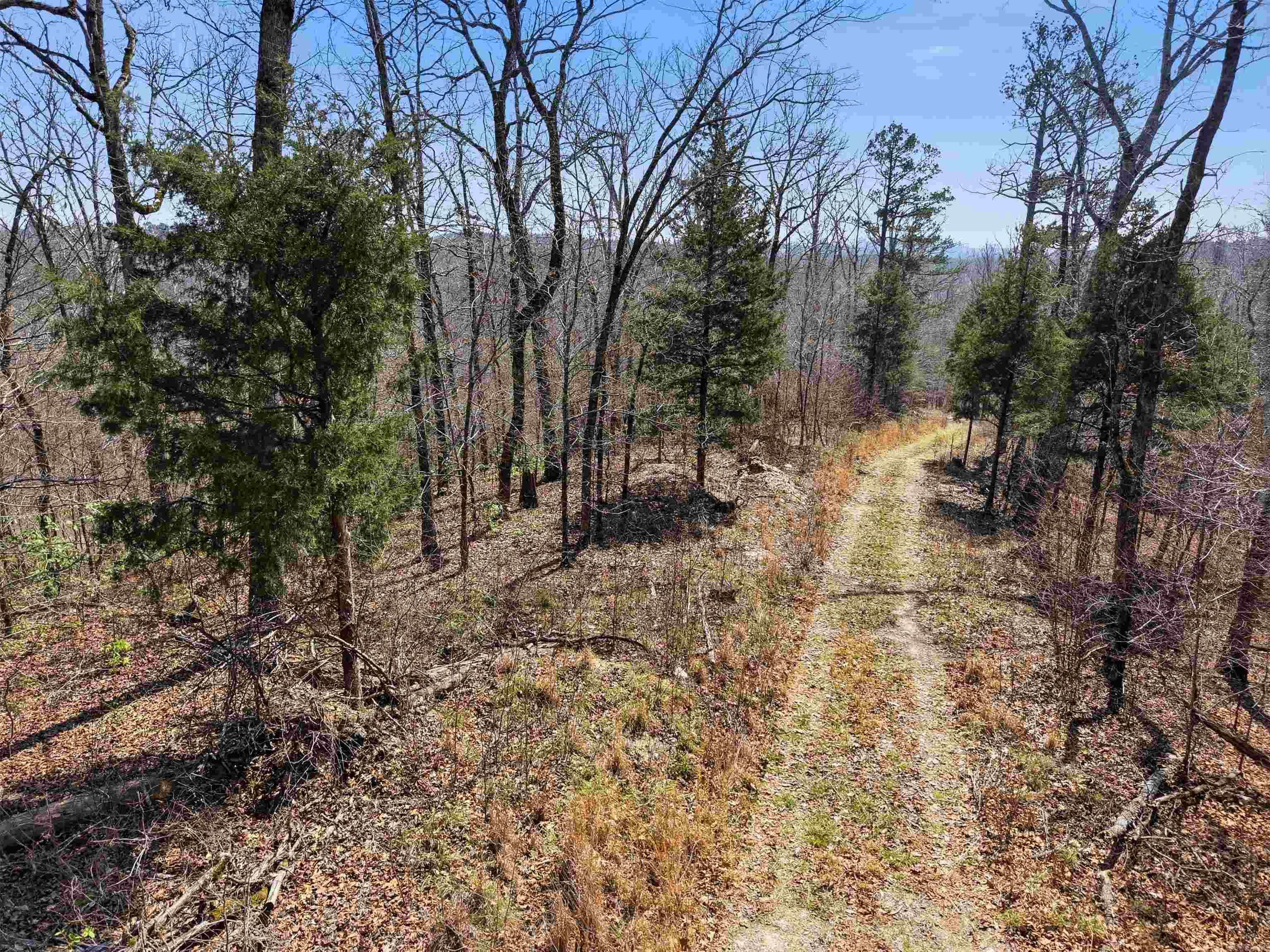 15712 Joe Johnson  Benton, AR